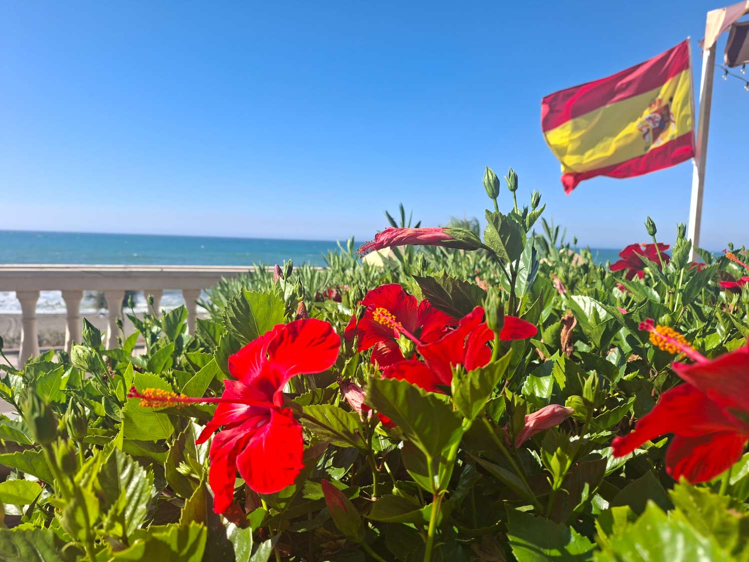 Beachfront Villa in Benajarafe with Large Urban Plot