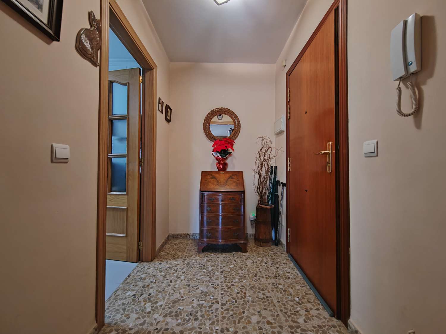 Opportunity in Torre del Mar