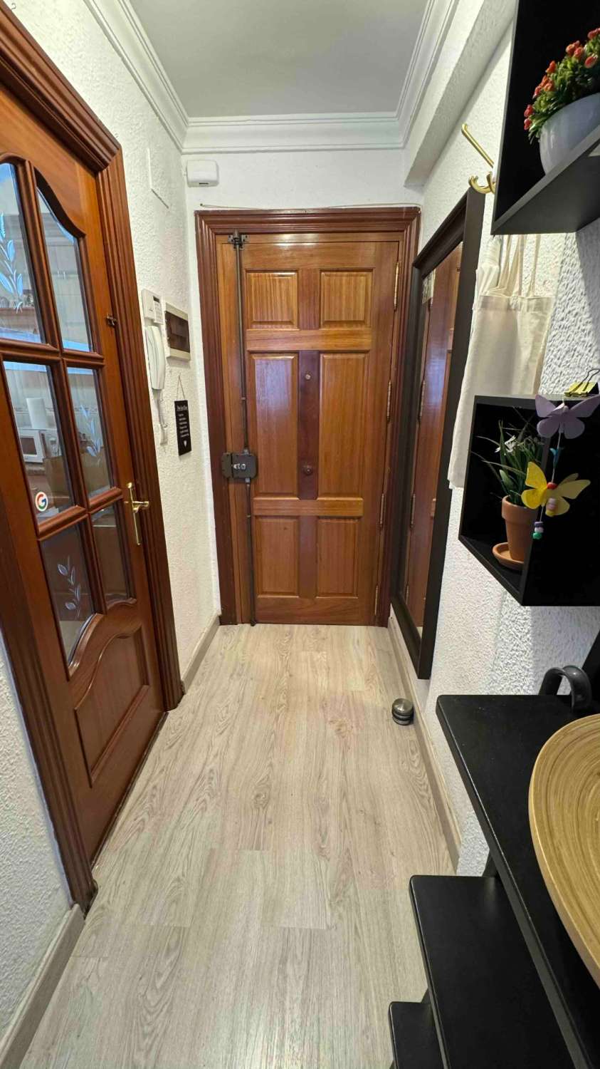 Flat te koop in Carretera de Cádiz (Málaga)