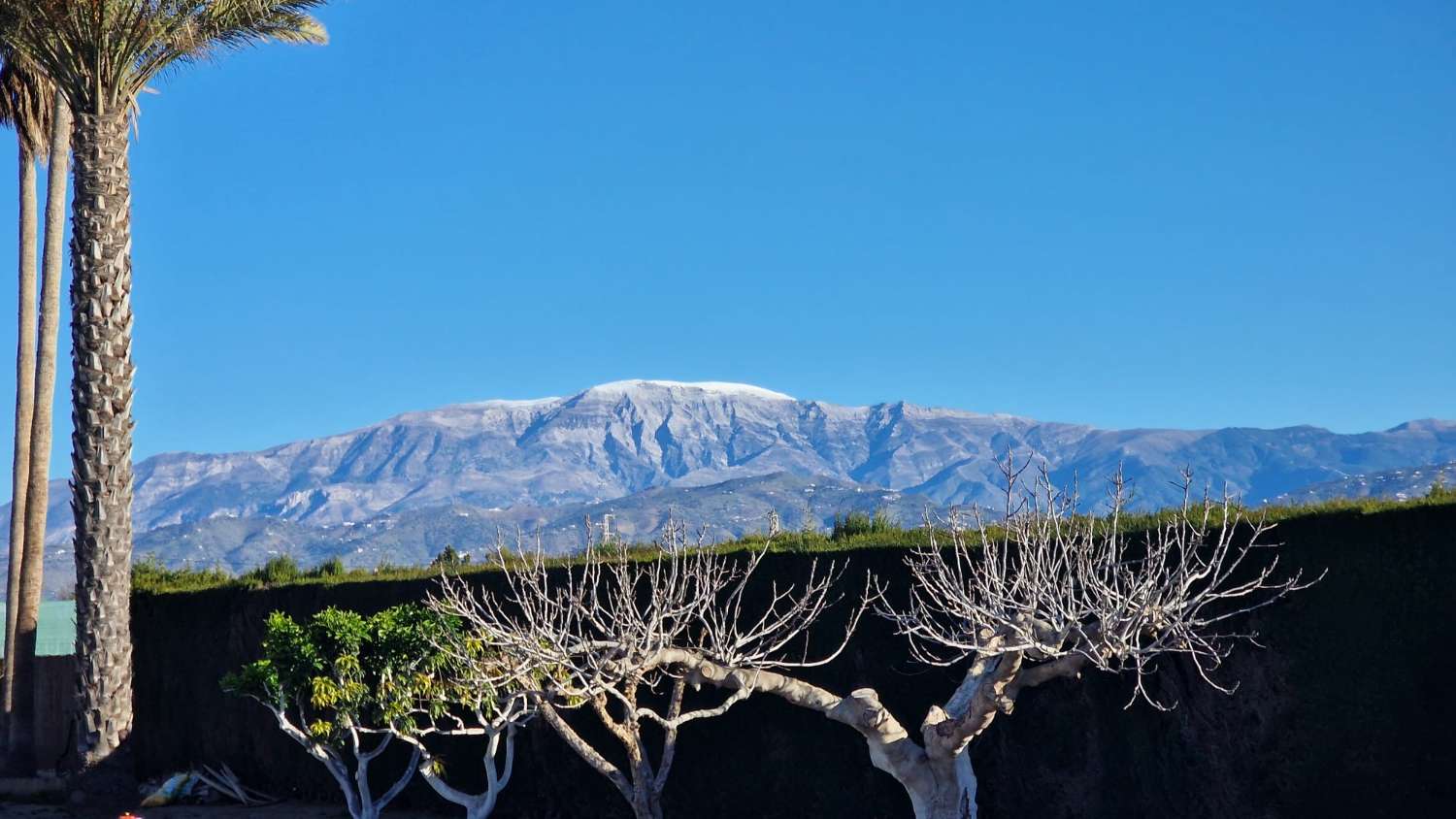 Hus med gård i Almayate