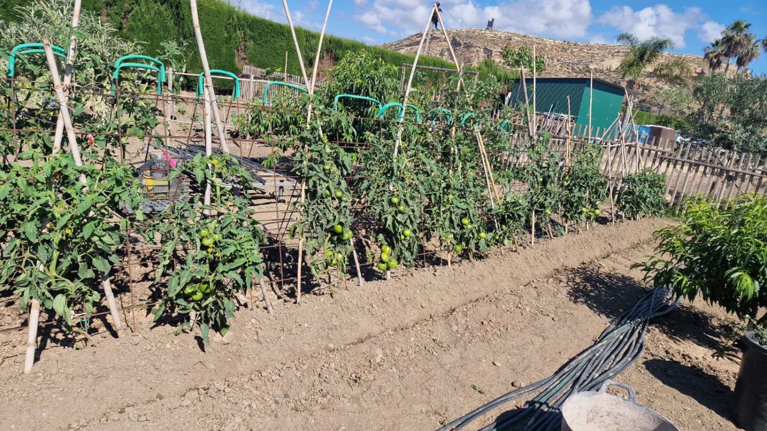 Hus med gård i Almayate