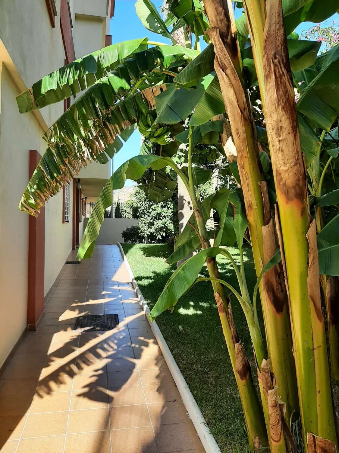 Flat te koop in El Rescate - Río Seco (Almuñécar)