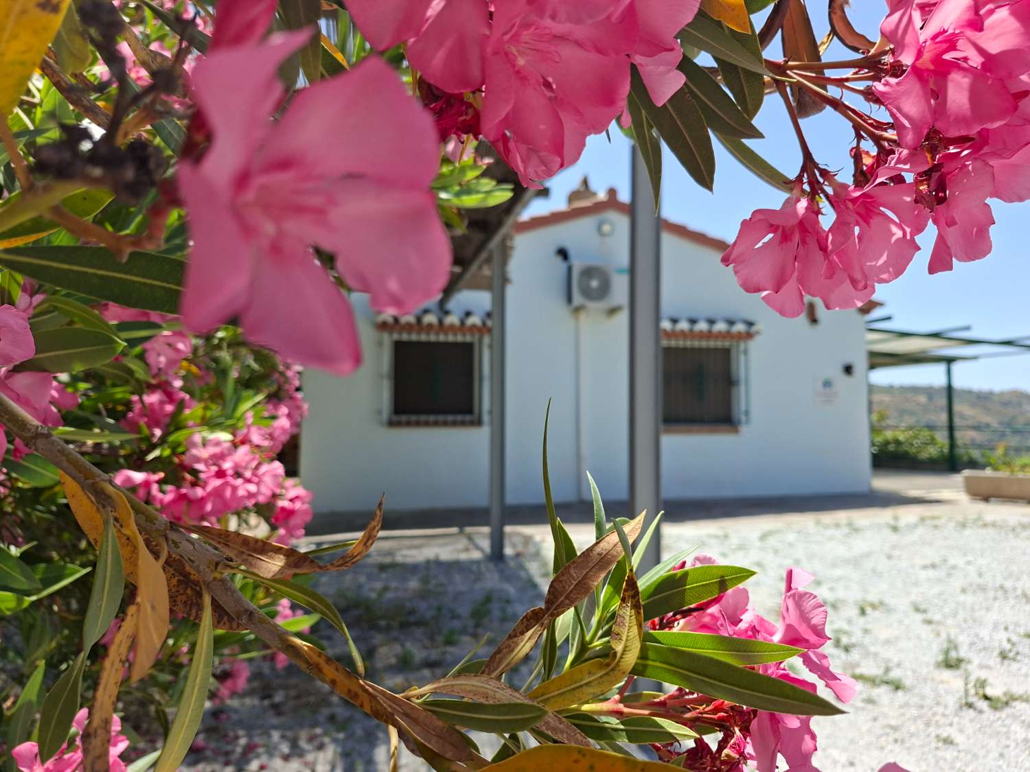 Casa rustica con piscina Cómpeta