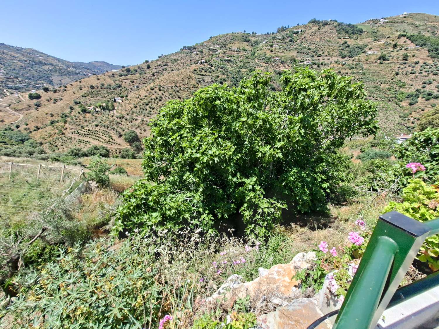Casa rustica con piscina Cómpeta
