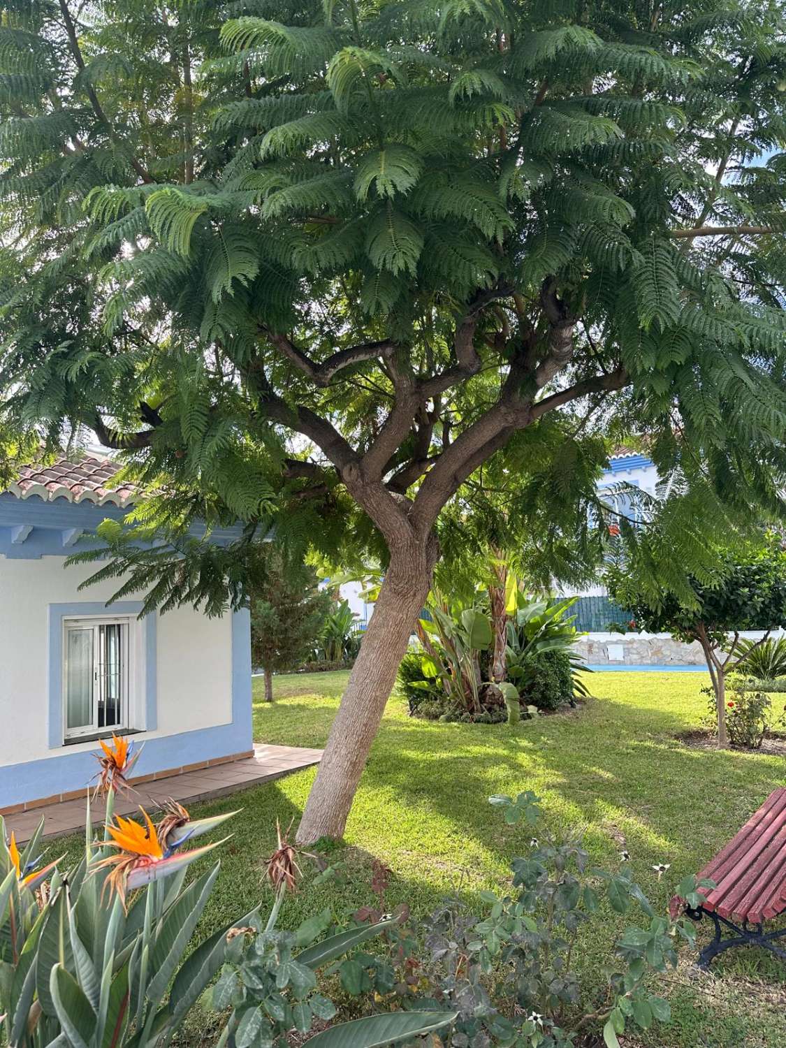 Casa adosada de 3 dormitorios Mezquitilla