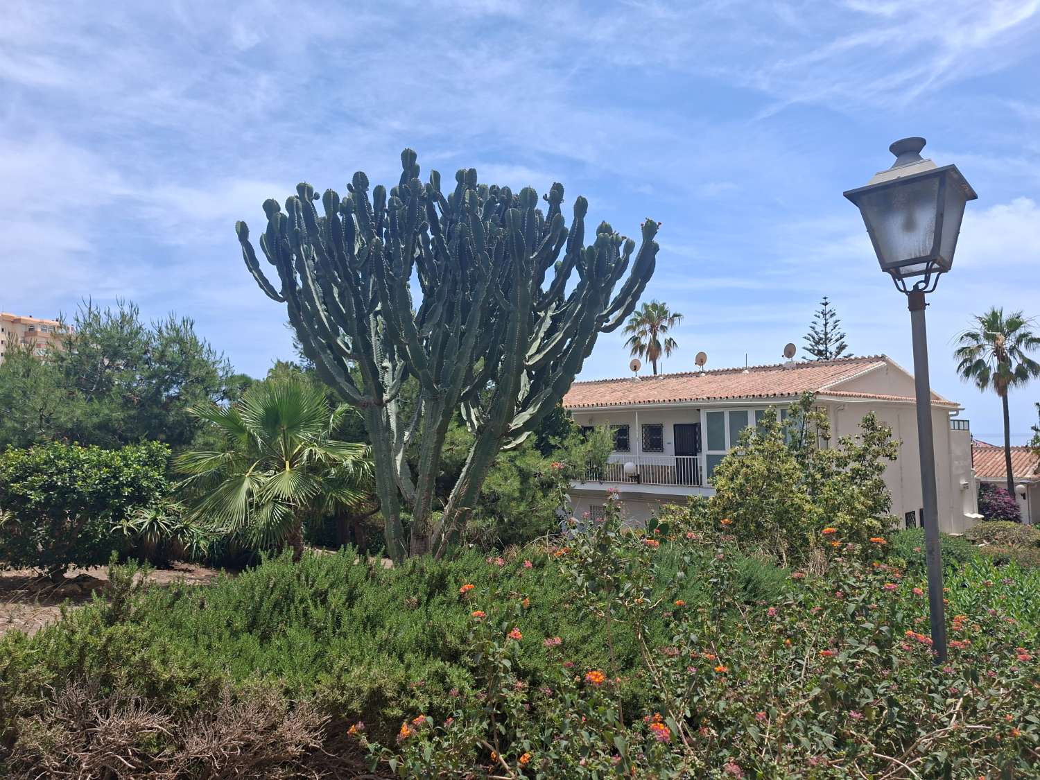 Bajo en venta de 1 dormitorio en Torrox Costa