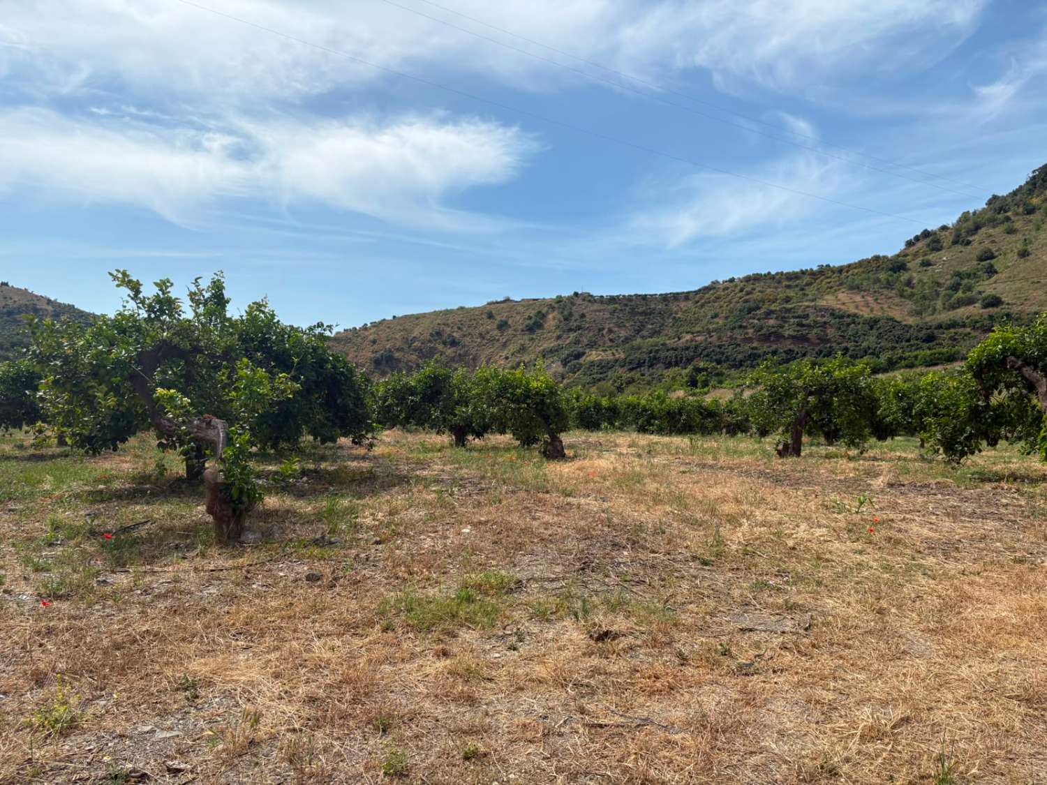 Terreno en venta en La Zubia Cútar