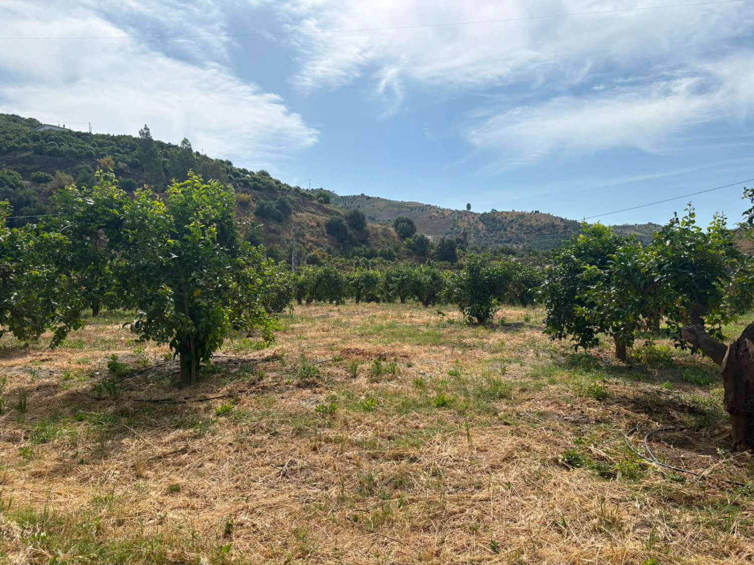 Terreno en venta en La Zubia Cútar