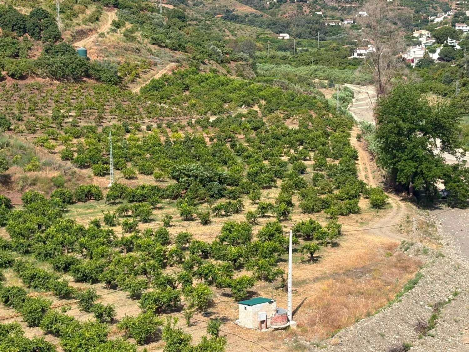 Terreno en venta en La Zubia Cútar