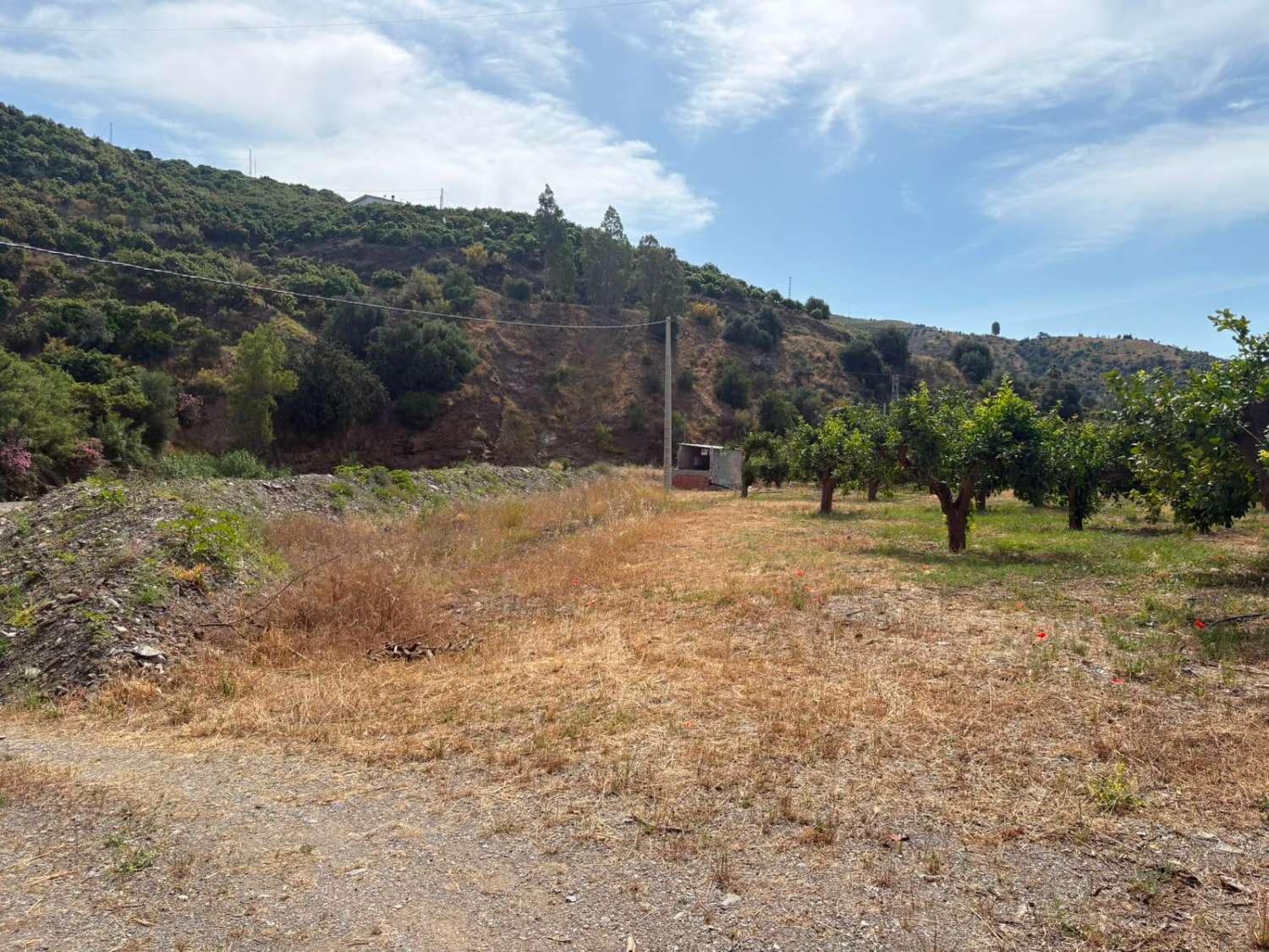 Terreno en venta en La Zubia Cútar