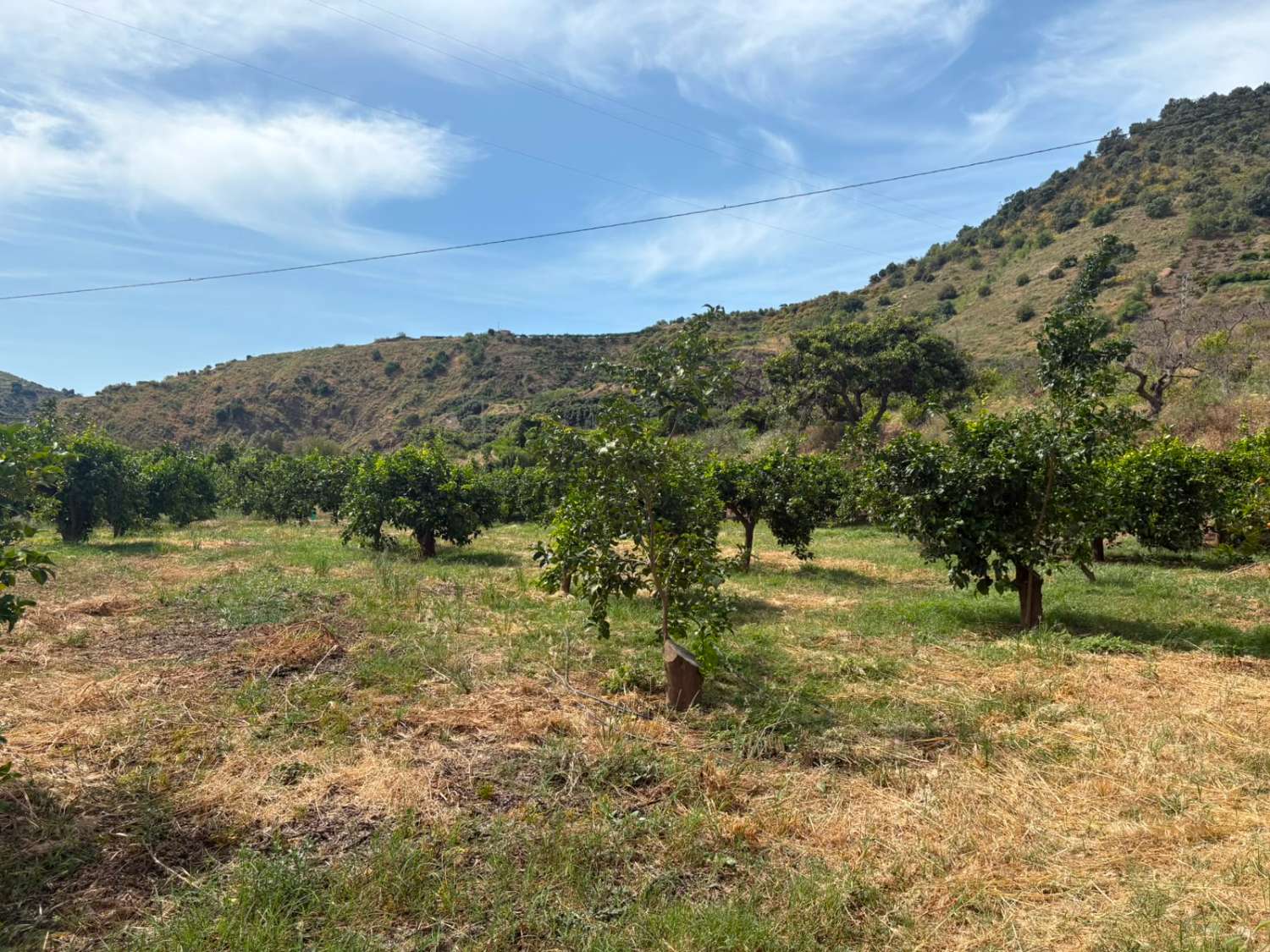 Terreno en venta en La Zubia Cútar