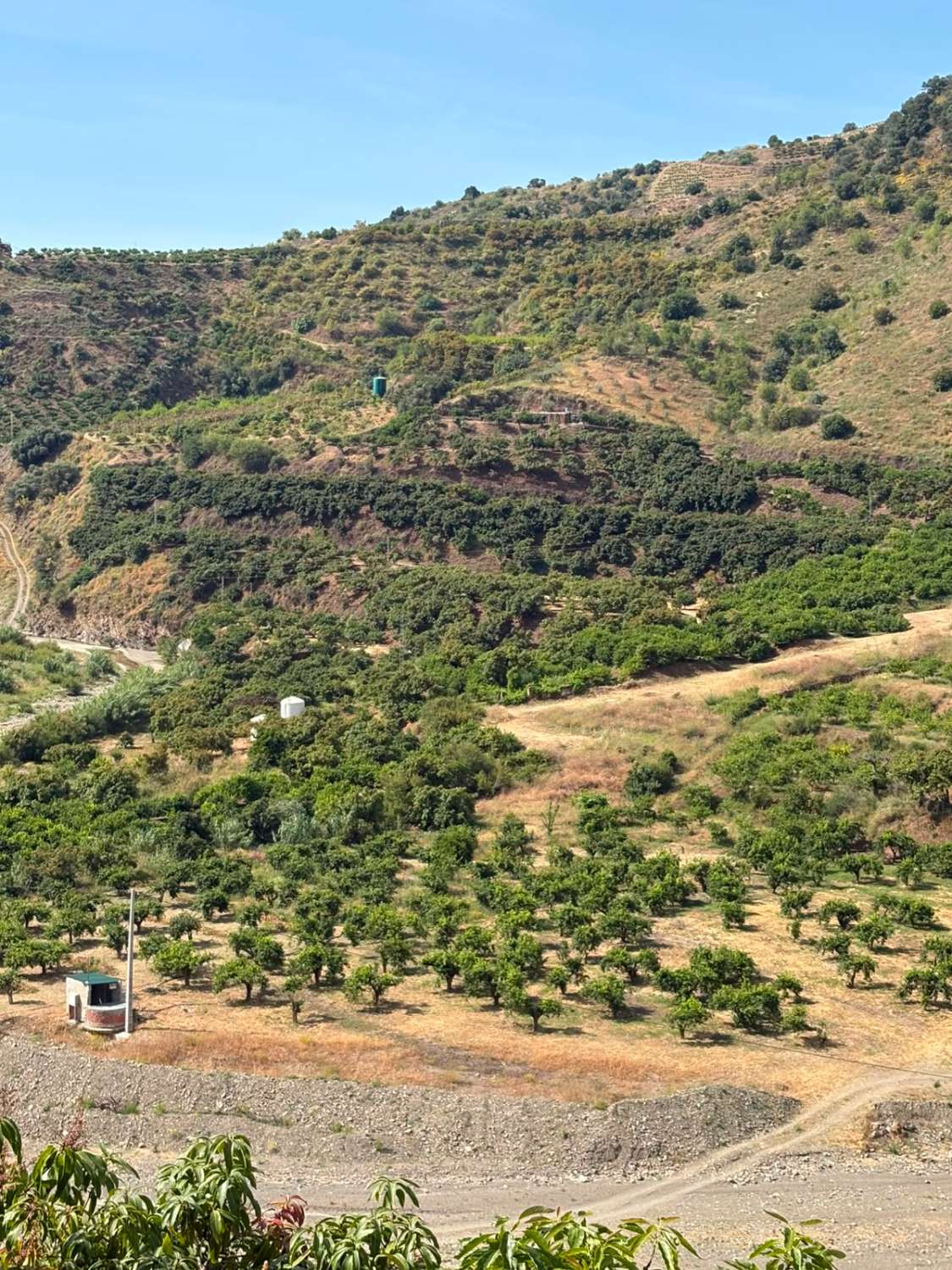 Terreno en venta en La Zubia Cútar