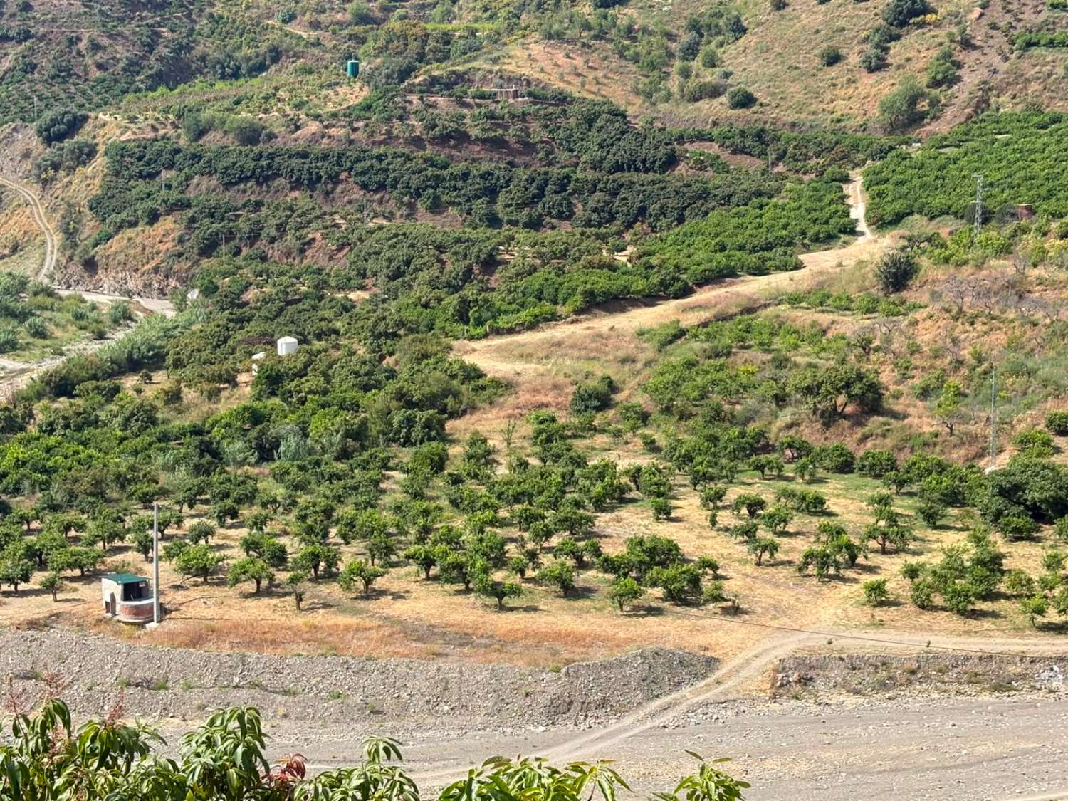 Terreno en venta en La Zubia Cútar