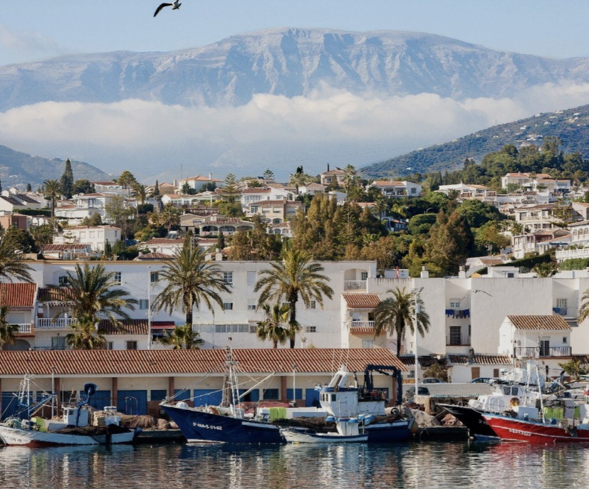 Bedrijf te koop in Caleta de Vélez