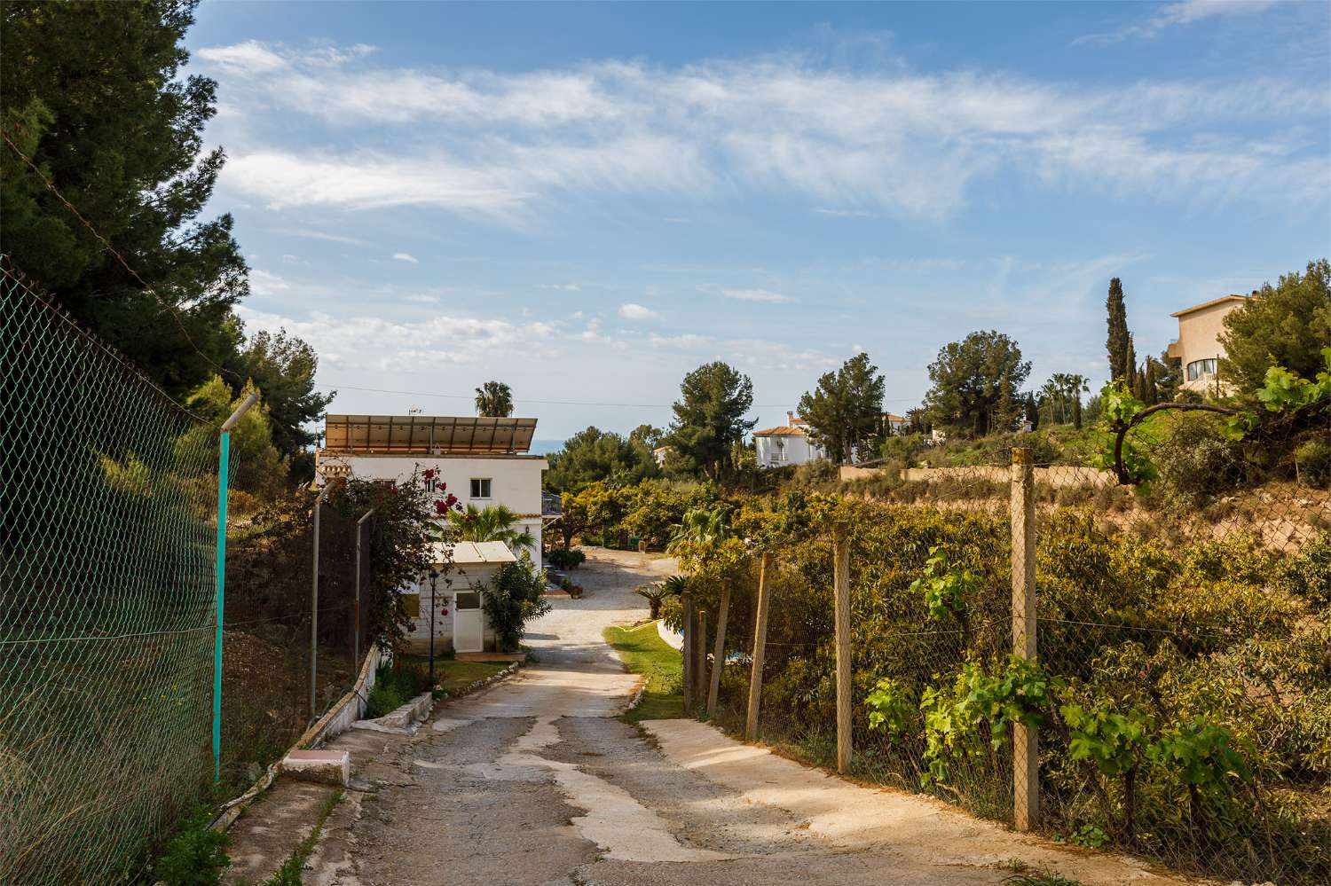 Appartment für ferien in Frigiliana