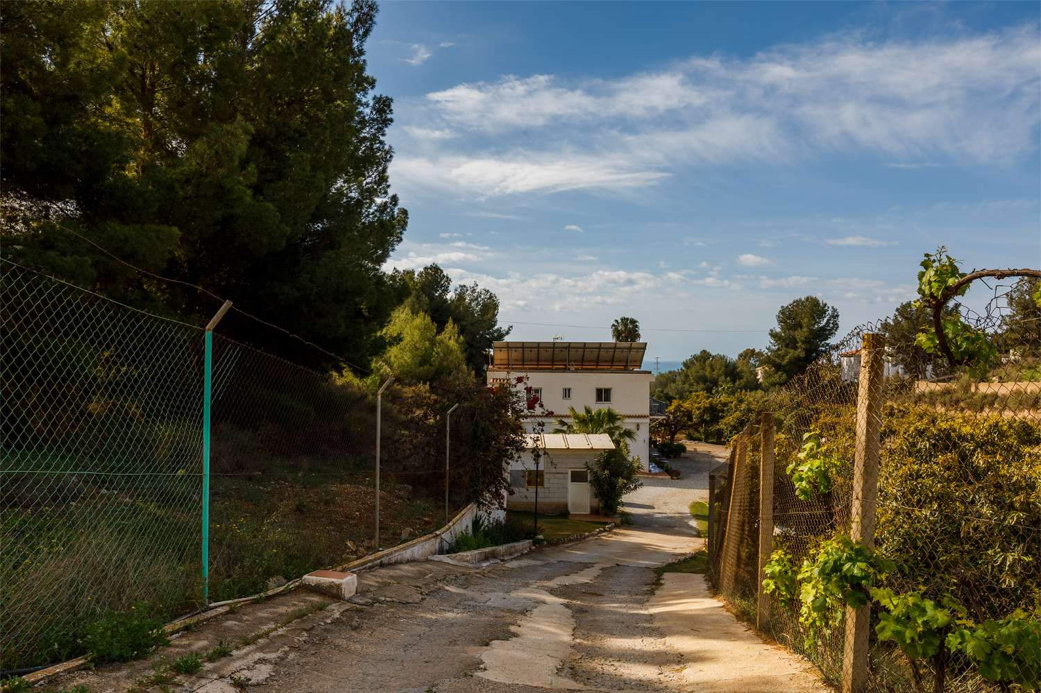 Apartment for holidays in Frigiliana