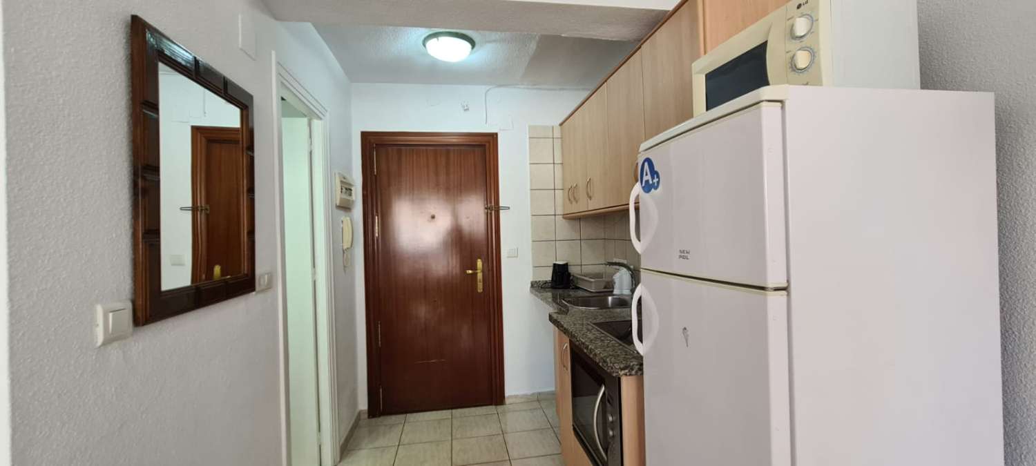 Studio Flat for holidays in Torre del Mar