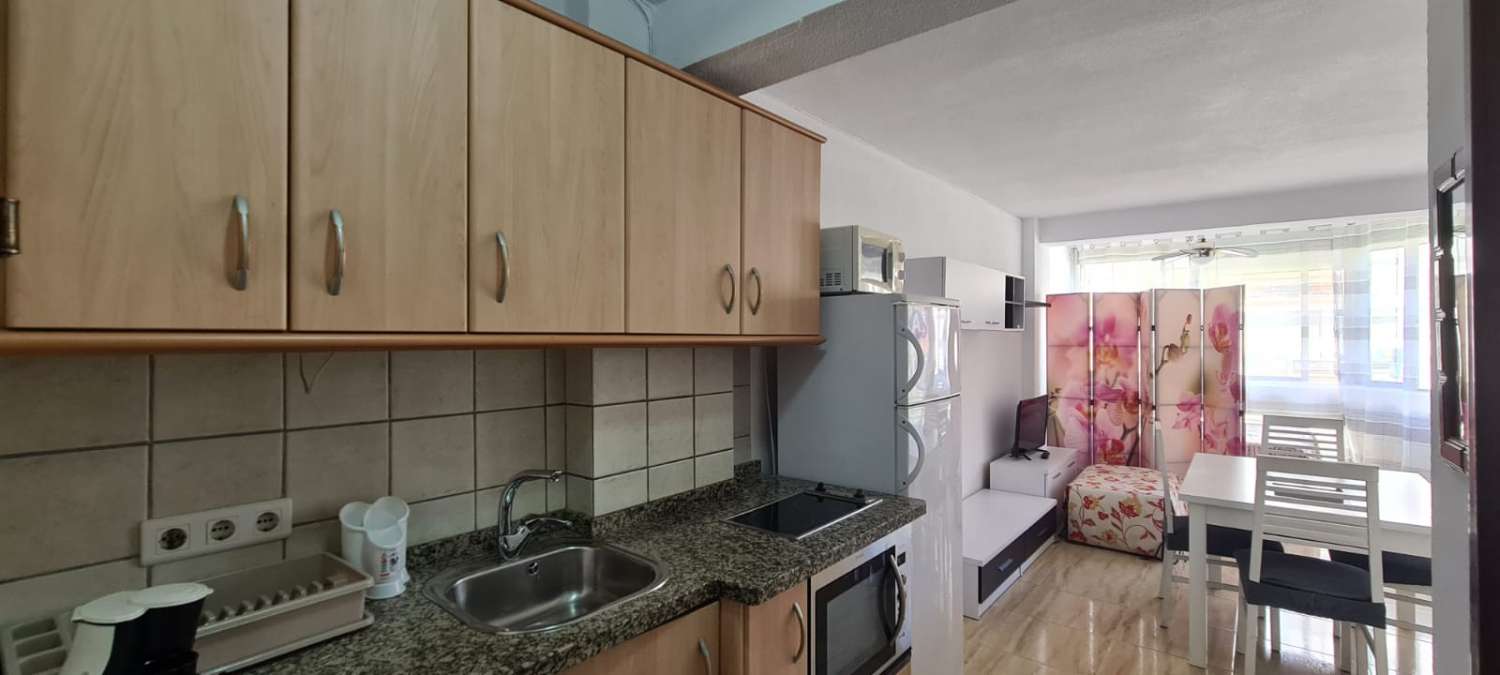 Studio Flat for holidays in Torre del Mar