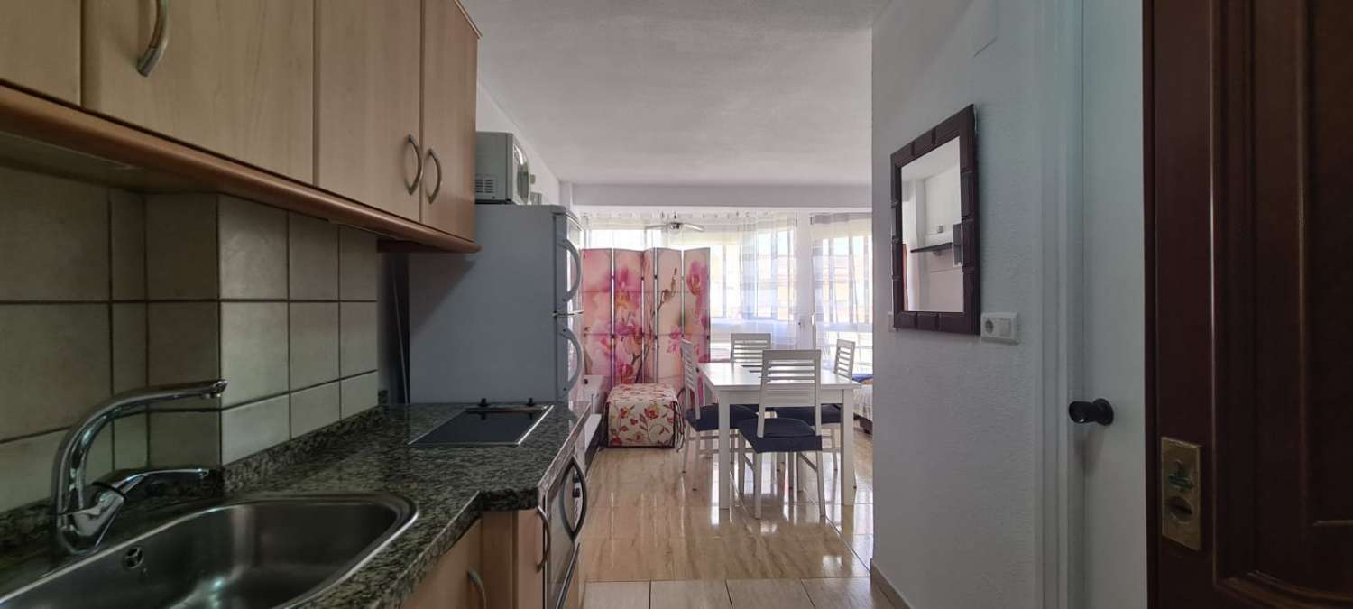 Studio Flat for holidays in Torre del Mar