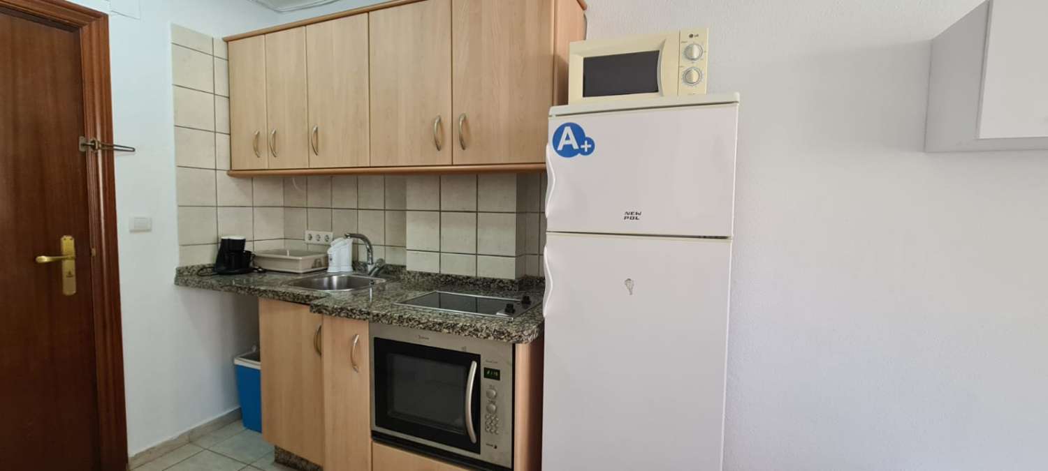 Studio Flat for holidays in Torre del Mar