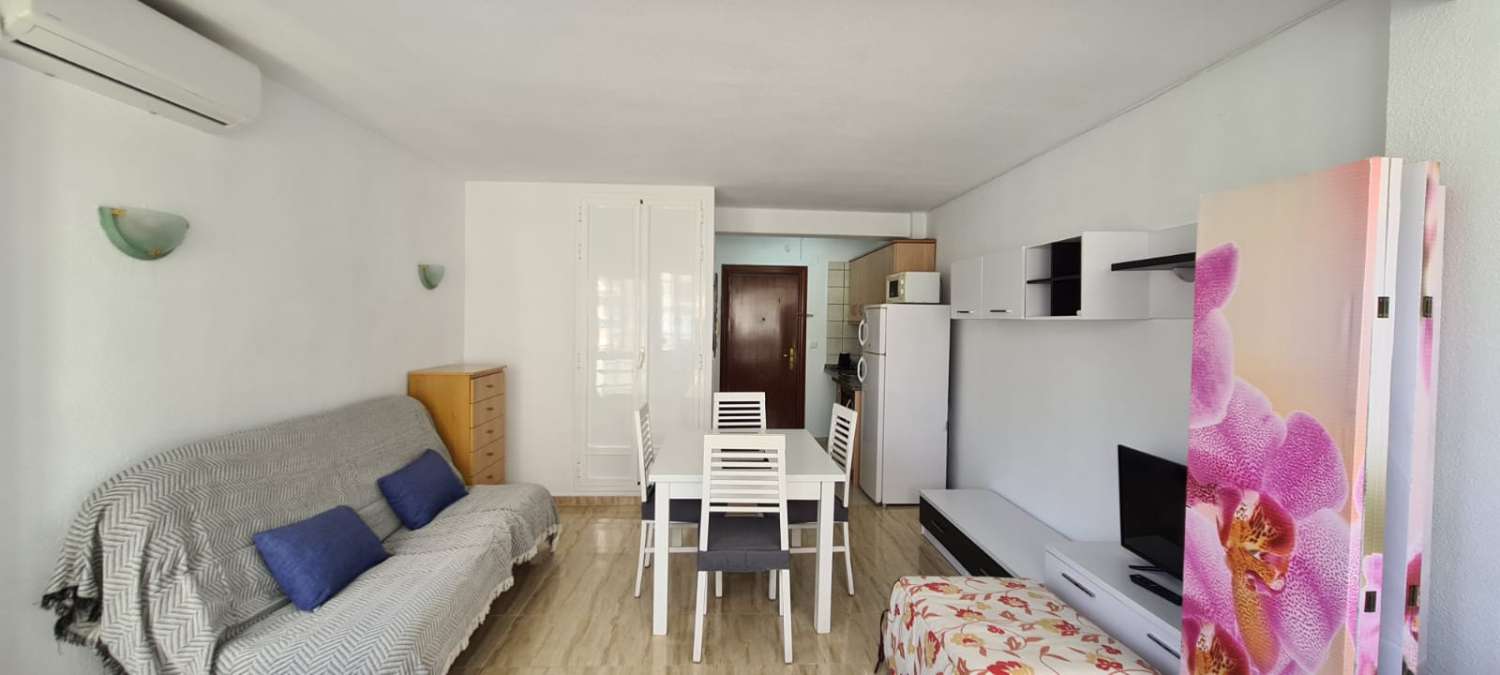 Studio Flat for holidays in Torre del Mar