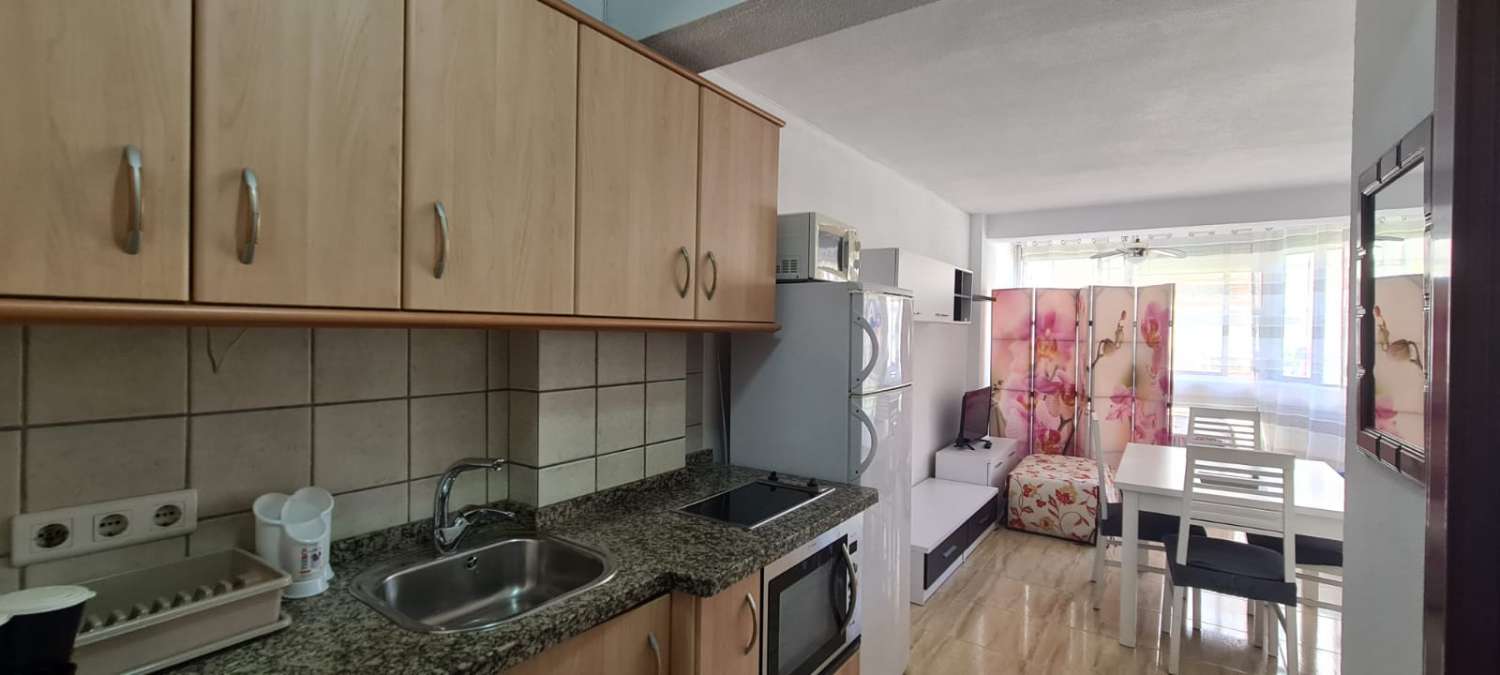 Studio Flat for holidays in Torre del Mar