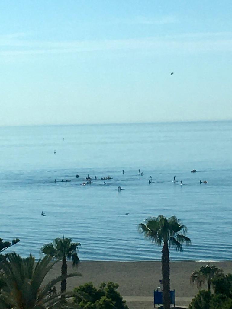 Pieni huoneisto loma Centro (Torre del Mar)