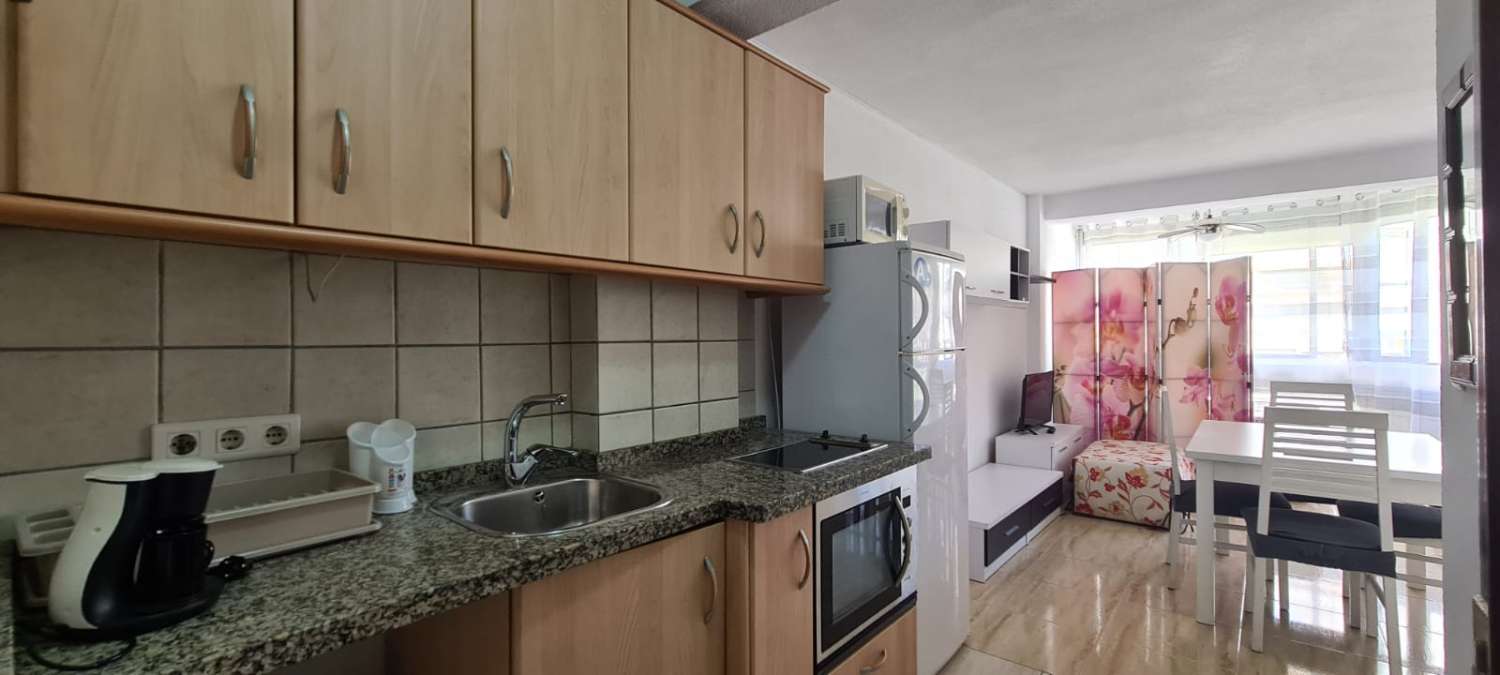 Studio Flat for rent in Torre del Mar