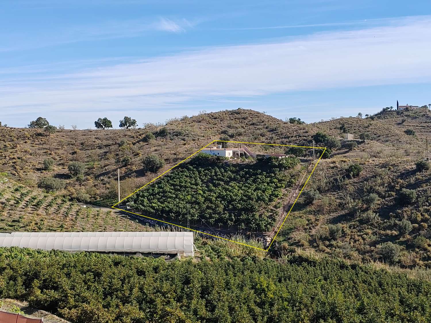 Rustic estate with mango production in Almayate