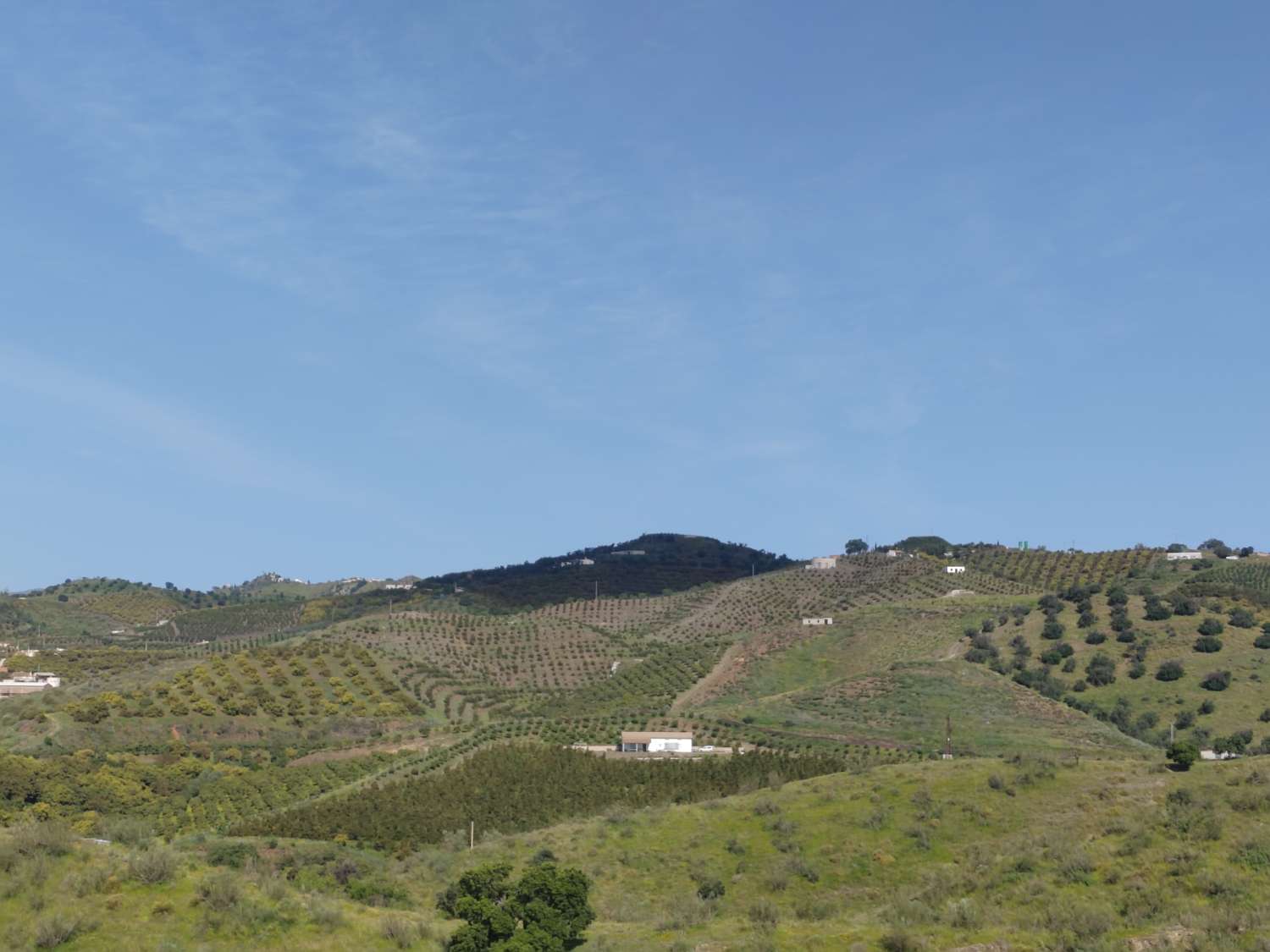 Tropical farm in production with rural house and high profitability – Mango, avocado, papaya and passion fruit – Agricultural investment in full operation