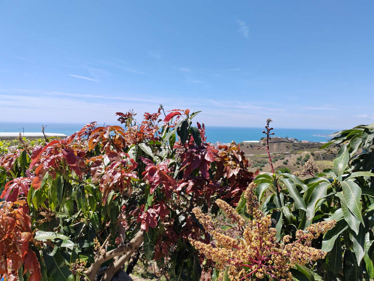 Maison de campagne avec vue sur mer et piscine, à 10 min de la plage