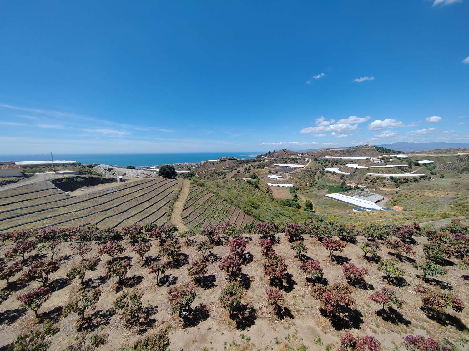 Maison de campagne avec vue sur mer et piscine, à 10 min de la plage