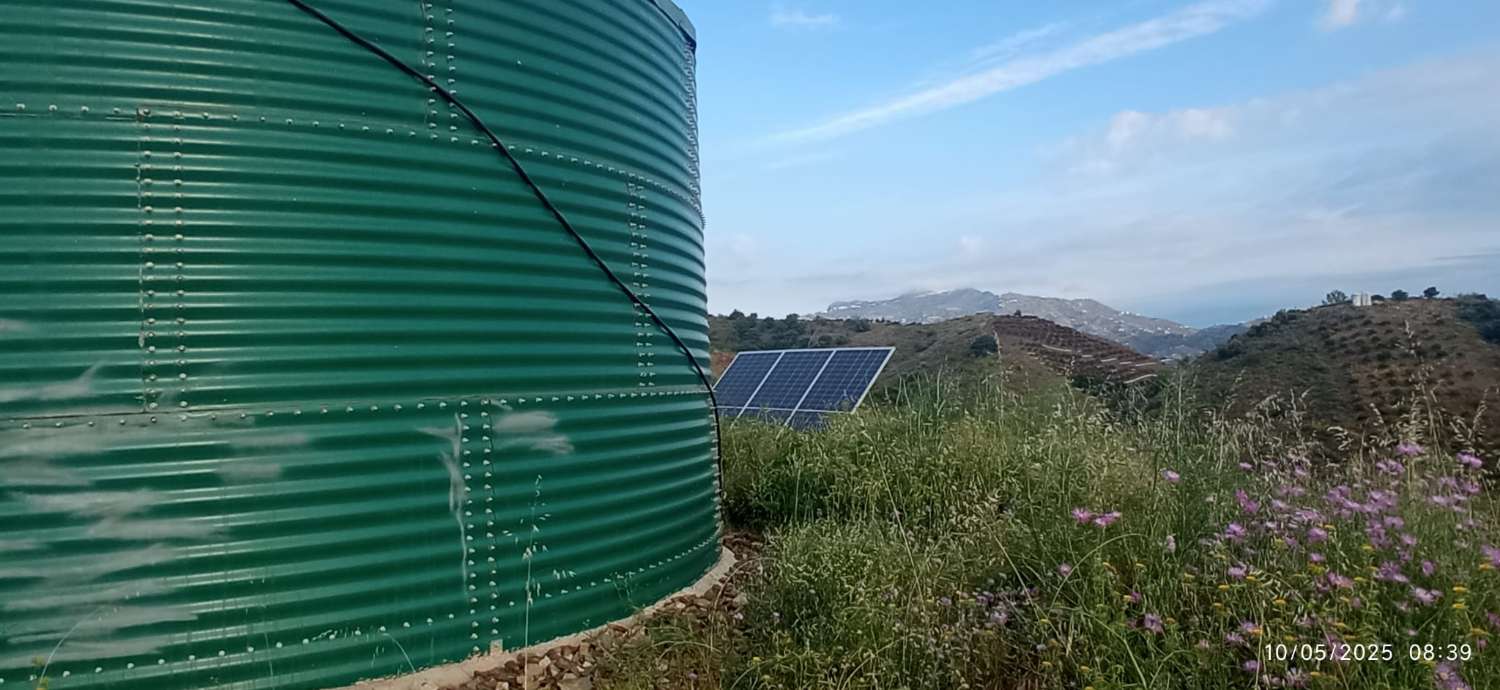 Finca avec arbres fruitiers à Triana– Vélez-Málaga