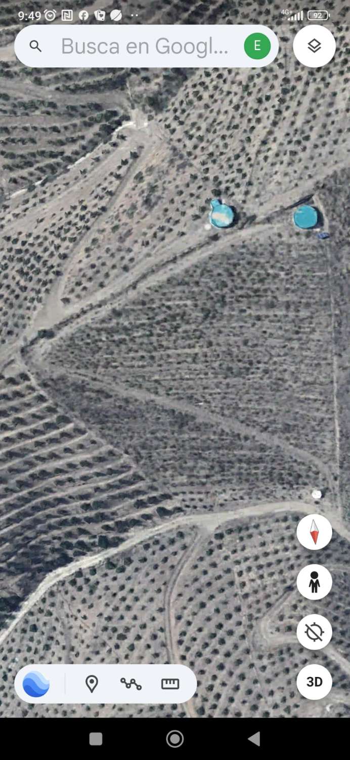 Finca avec arbres fruitiers à Triana– Vélez-Málaga
