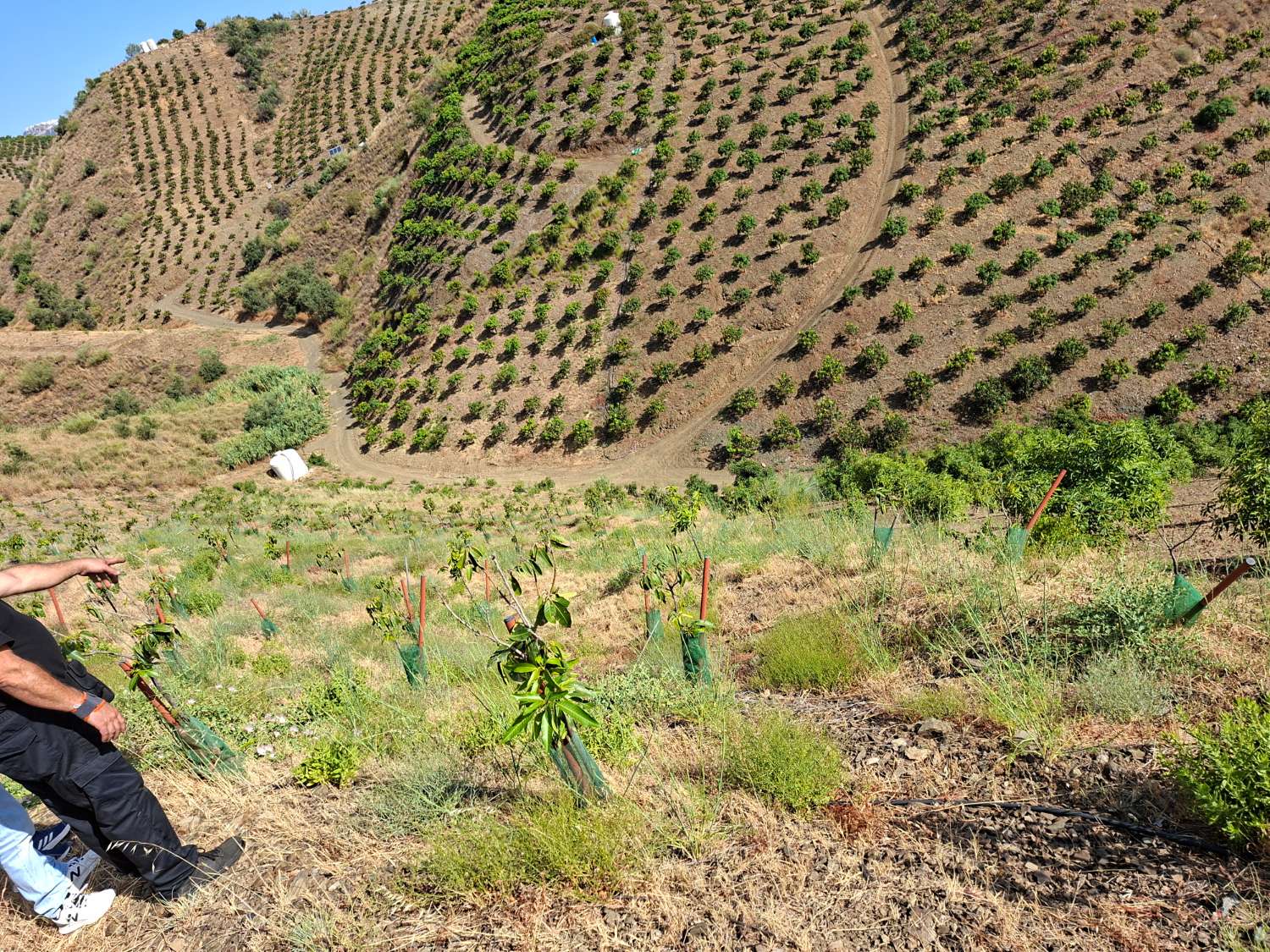 Plot en venda in Benamargosa