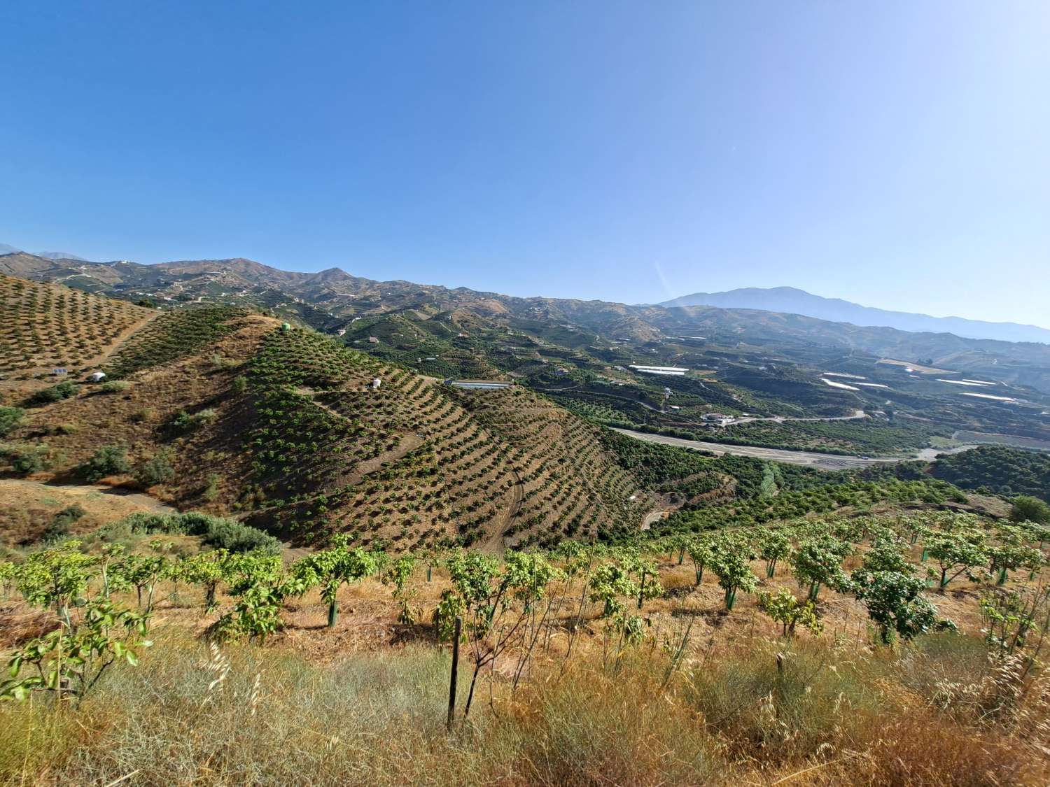Plot en venda in Benamargosa