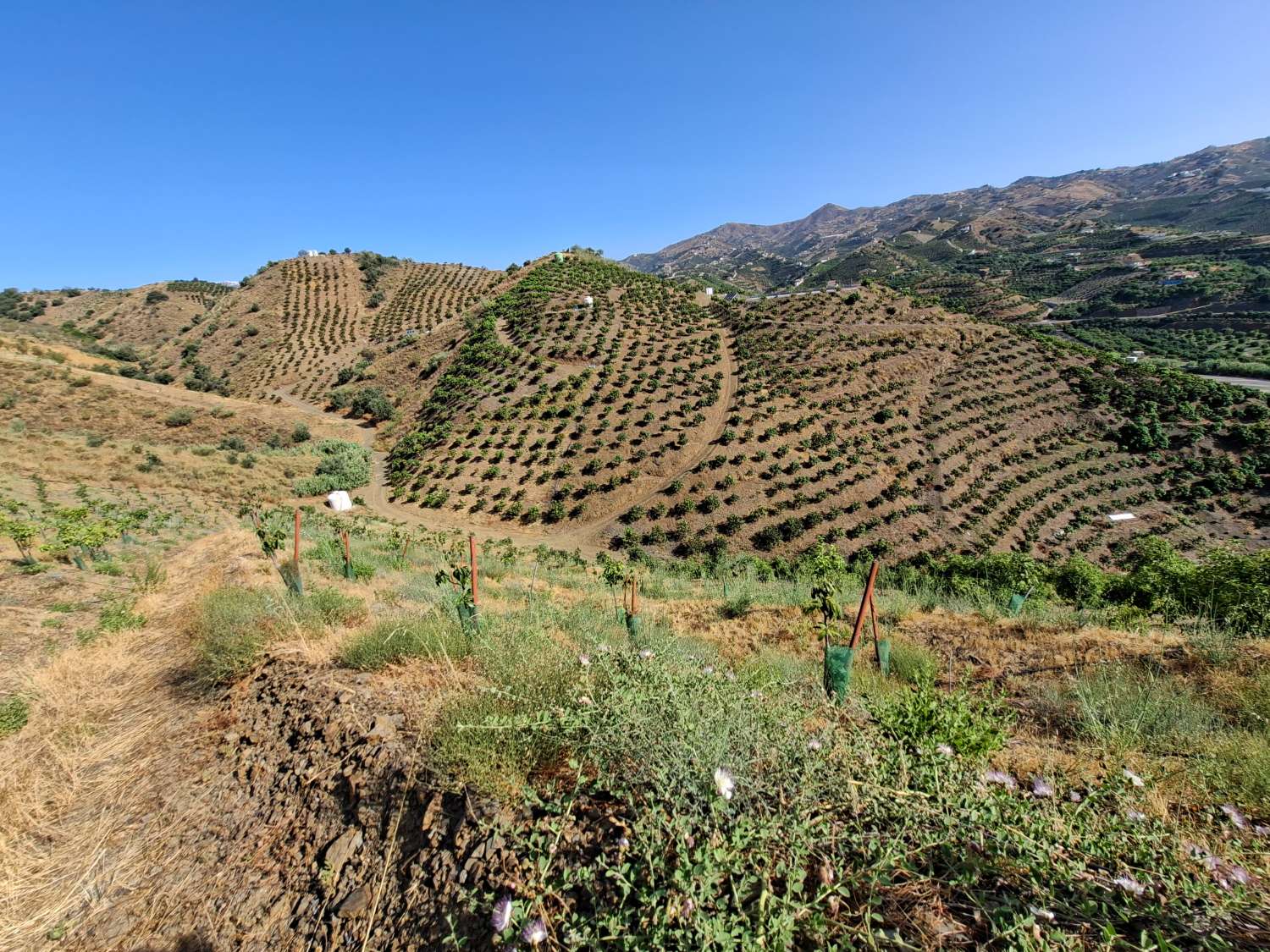 Plot en venda in Benamargosa