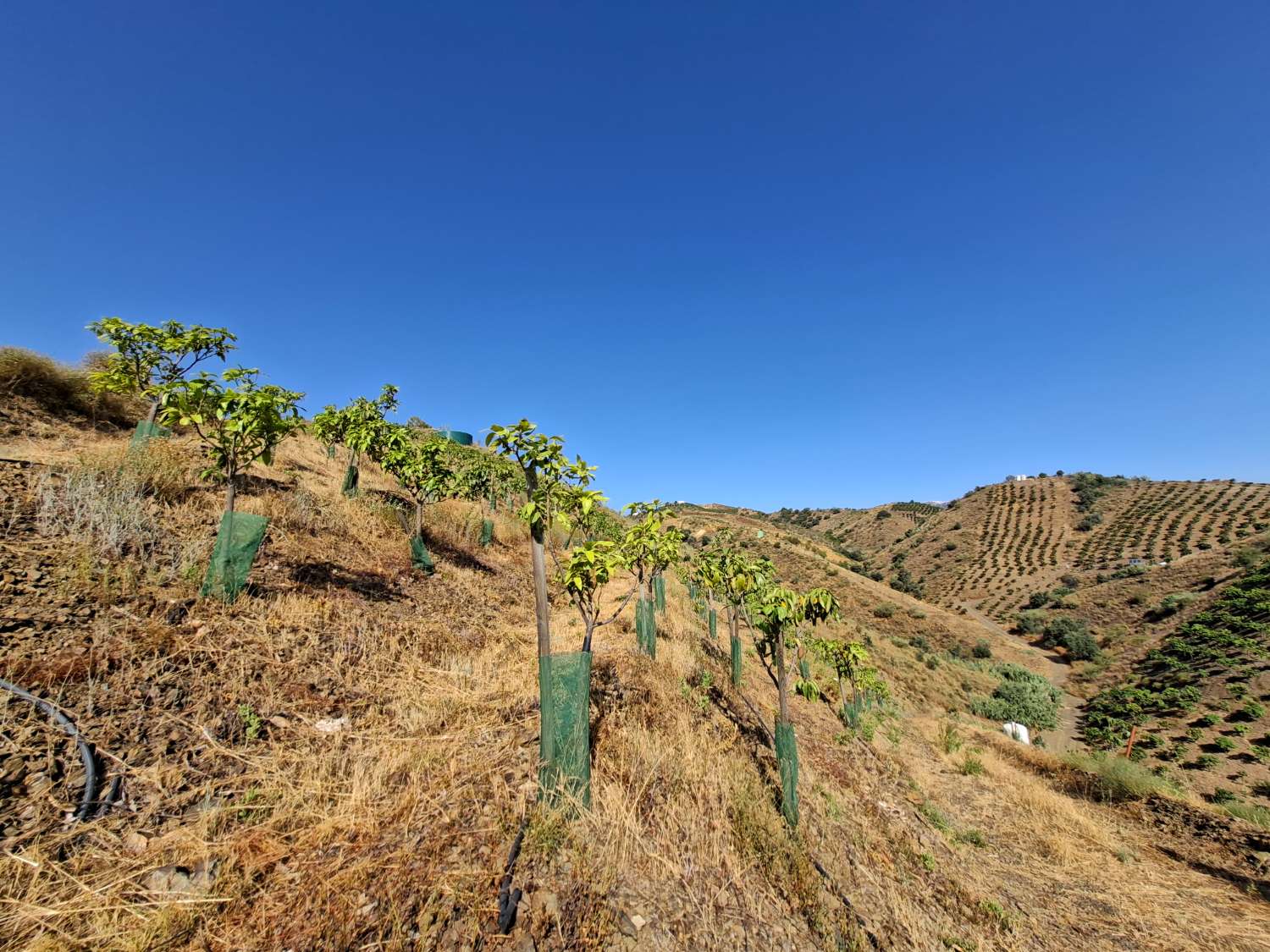 Plot en venda in Benamargosa
