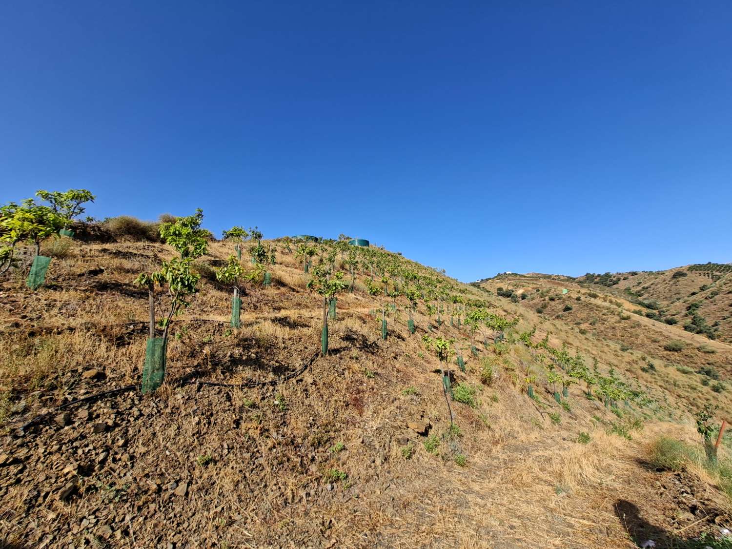 Plot en venda in Benamargosa