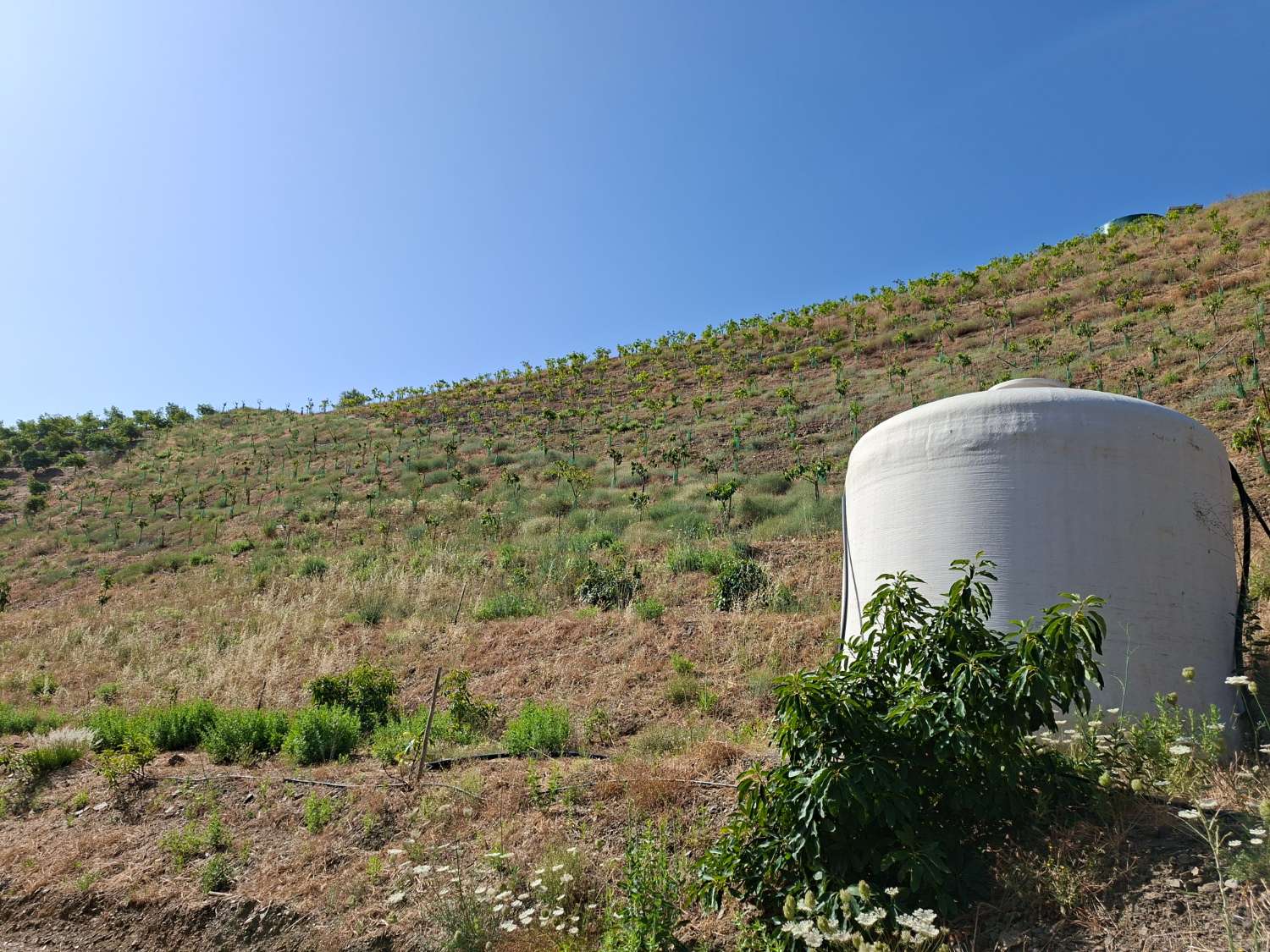 Plot en venda in Benamargosa