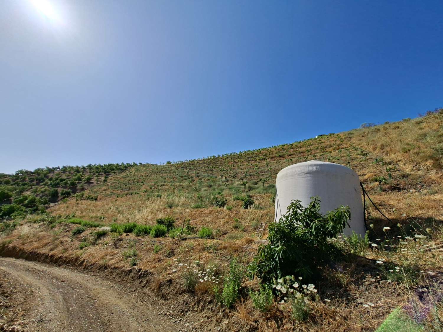 Plot en venda in Benamargosa