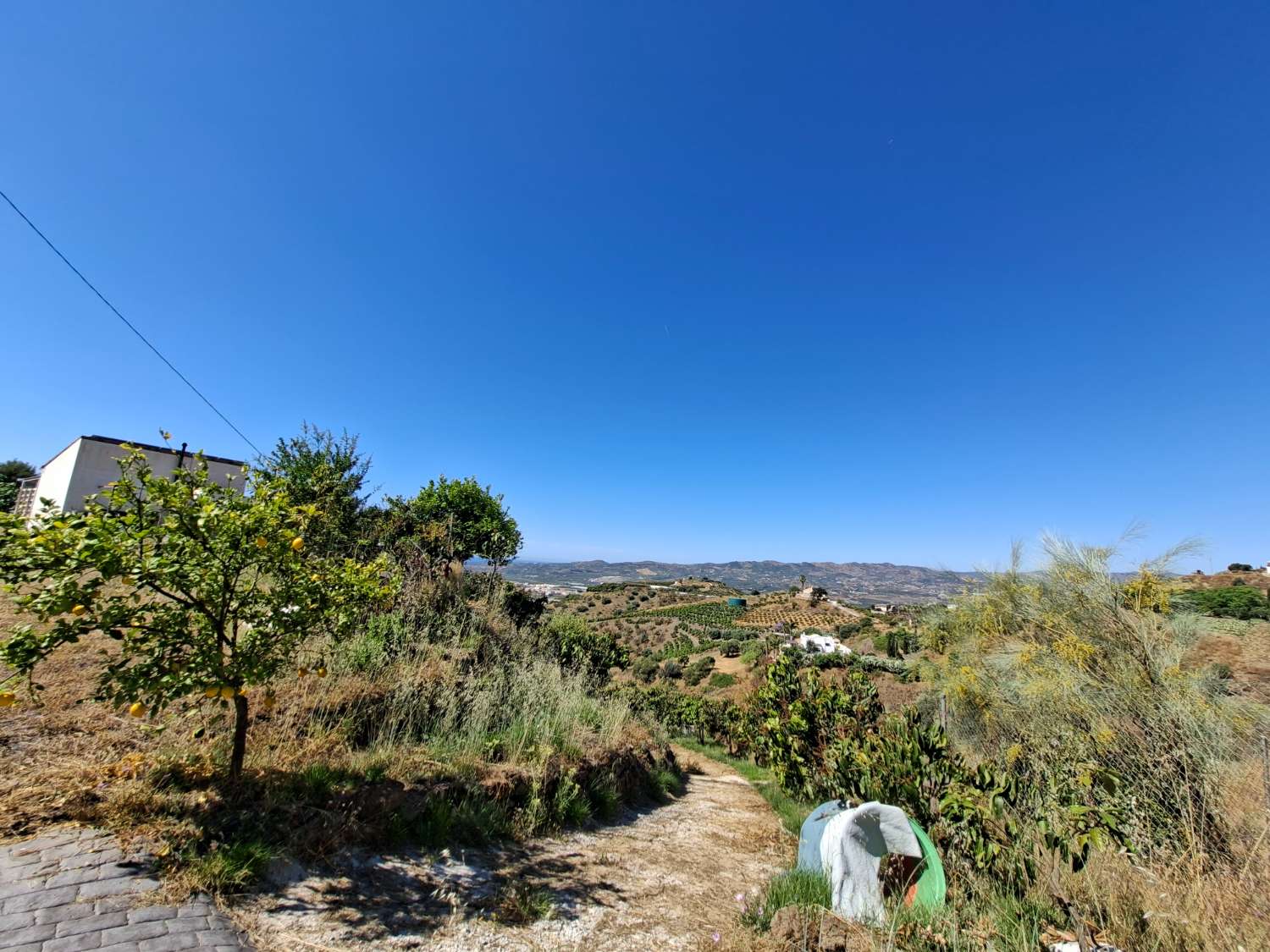 Finca rustica con casa