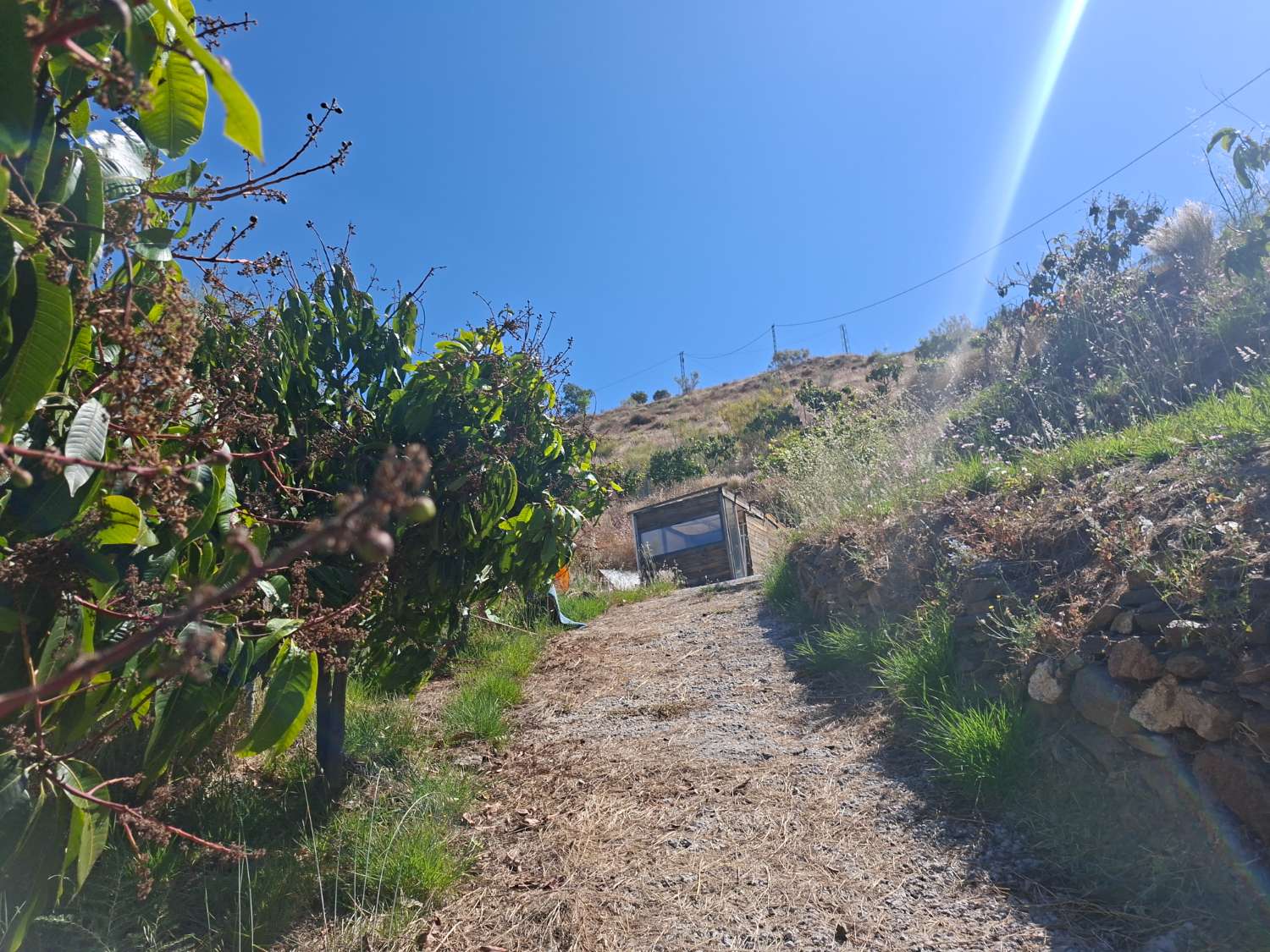 Finca rustica con casa