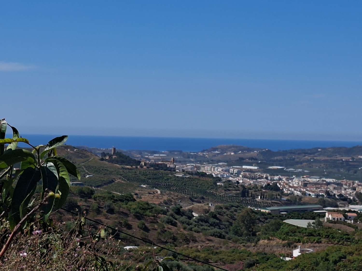 Finca rustica con casa