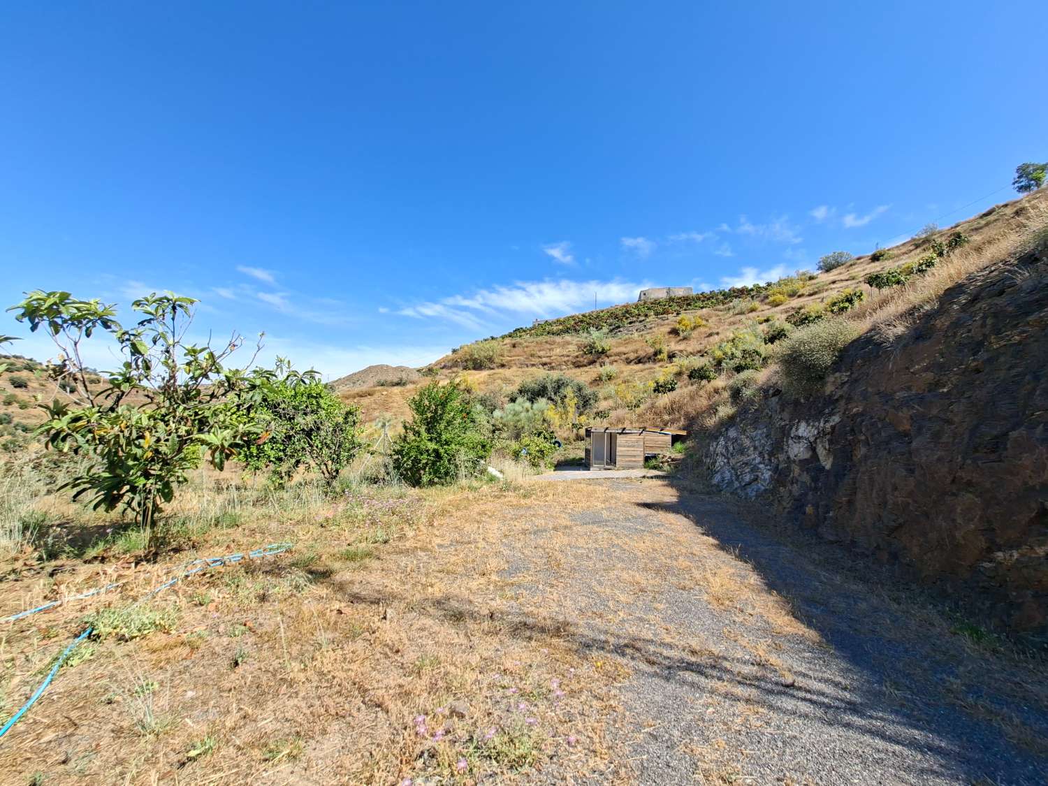 Finca rustica con casa