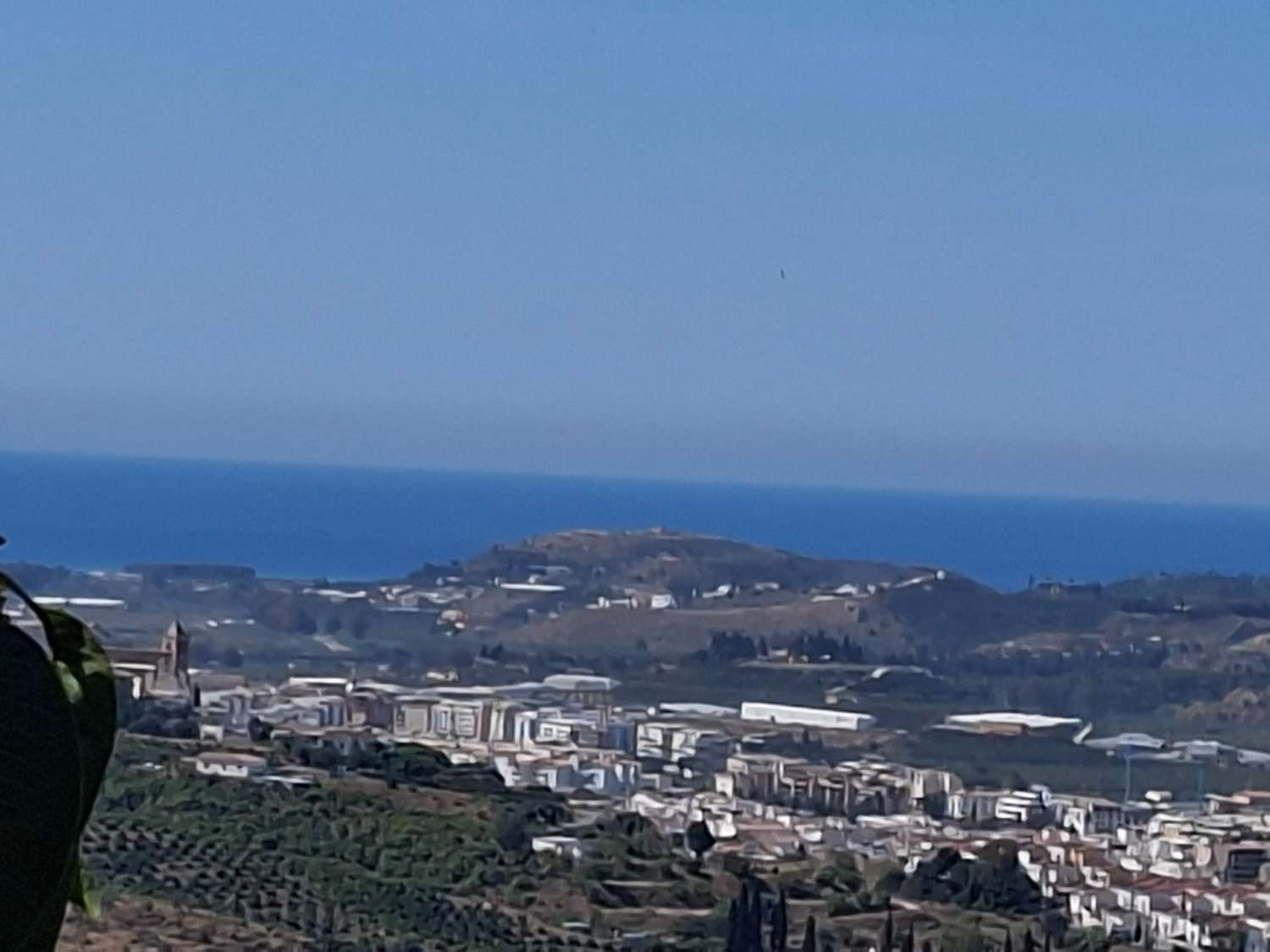 Finca rustica con casa