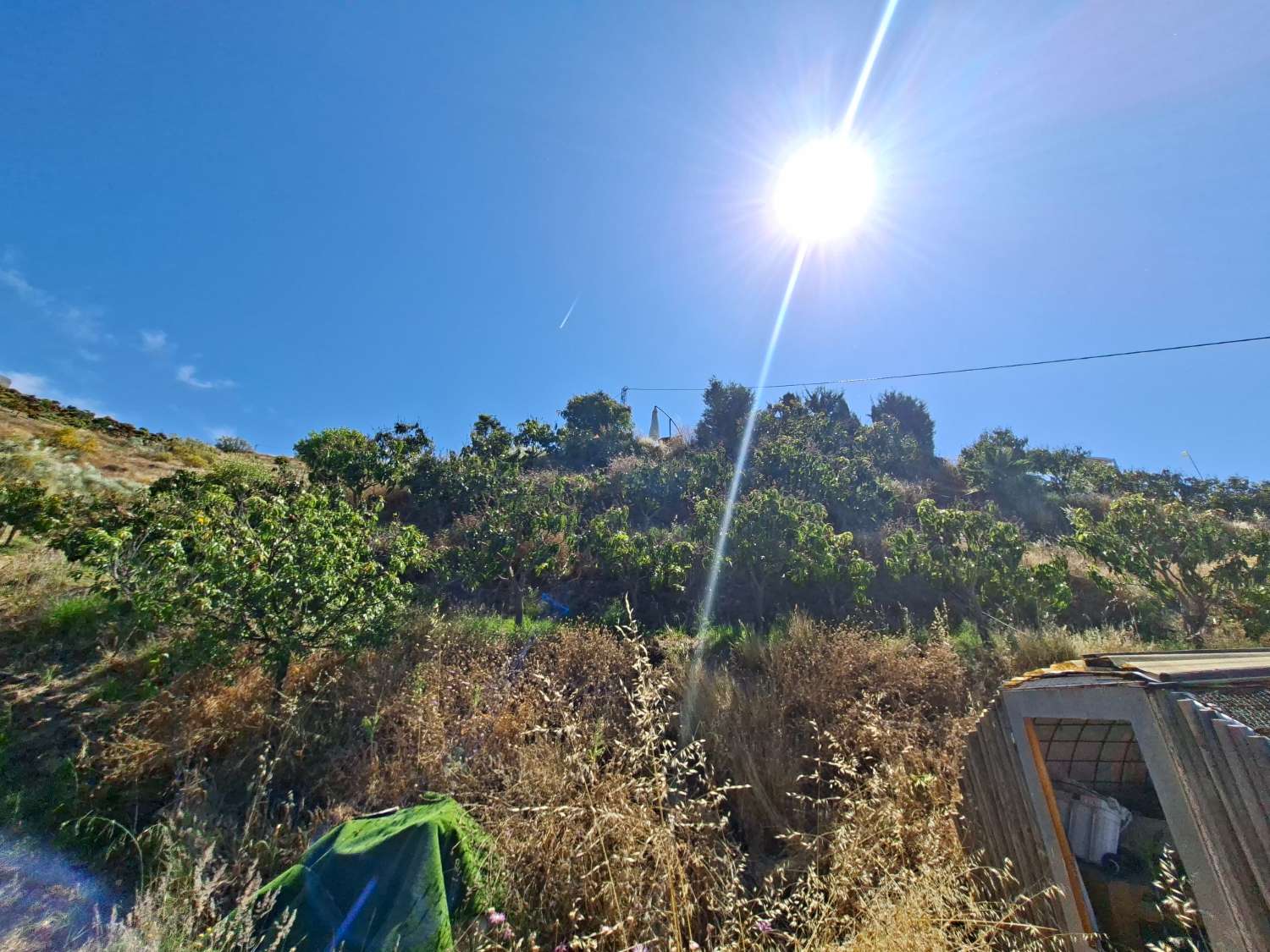 Finca rustica con casa