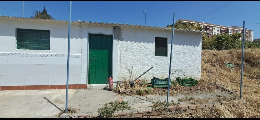 Terreno en Algarrobo con jardin frutal