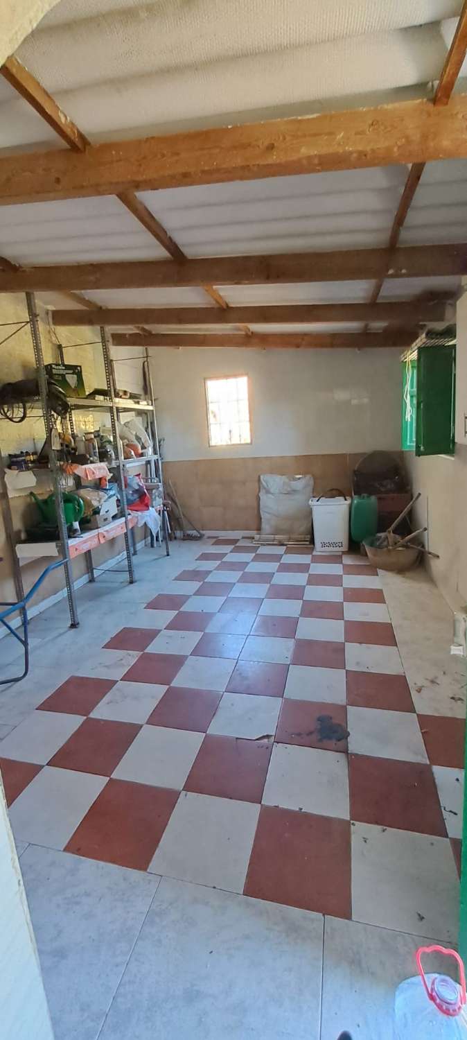 Terreno en Algarrobo con jardin frutal
