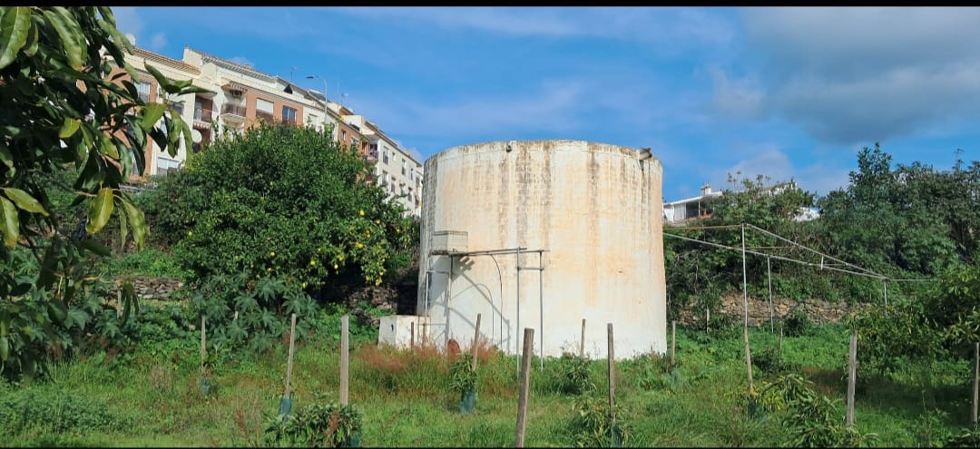 Terreno en Algarrobo con jardin frutal